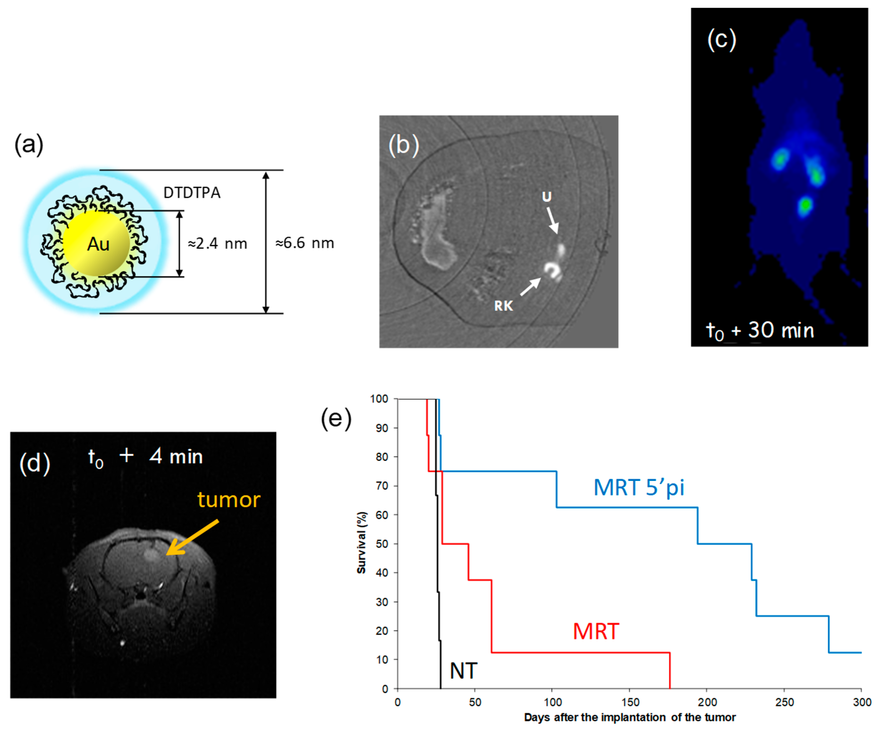 Ijms 20 04618 sch002 Ijms 20 04618 sch002