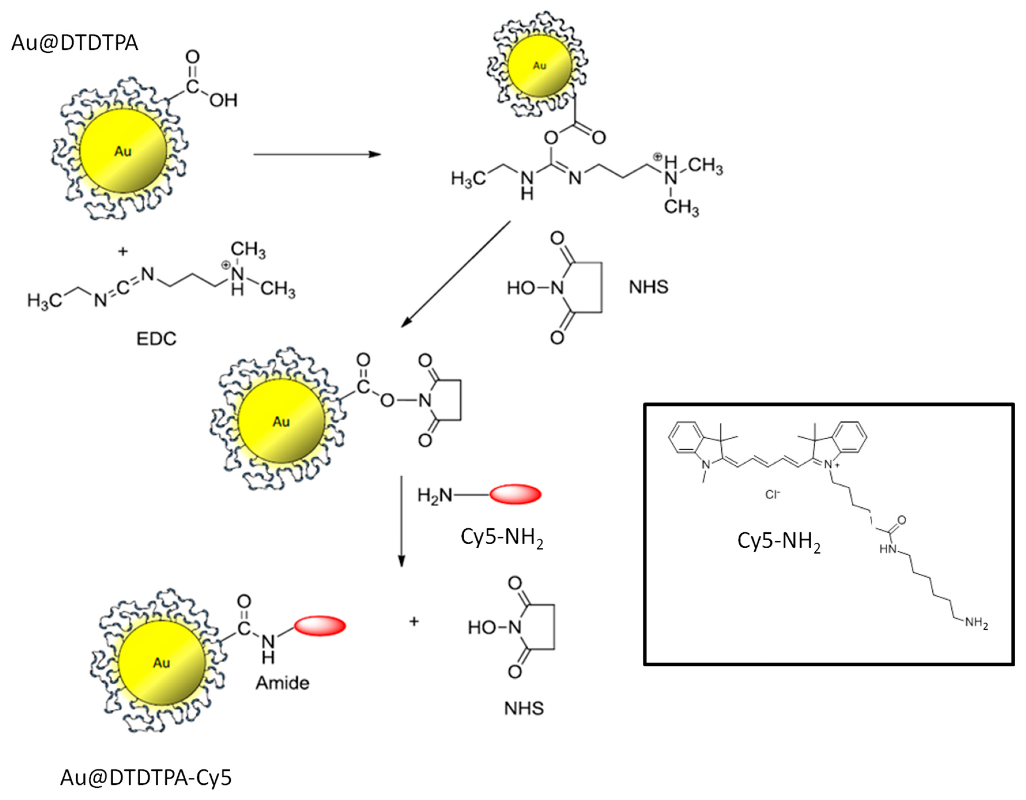 Ijms 20 04618 sch003 Ijms 20 04618 sch003