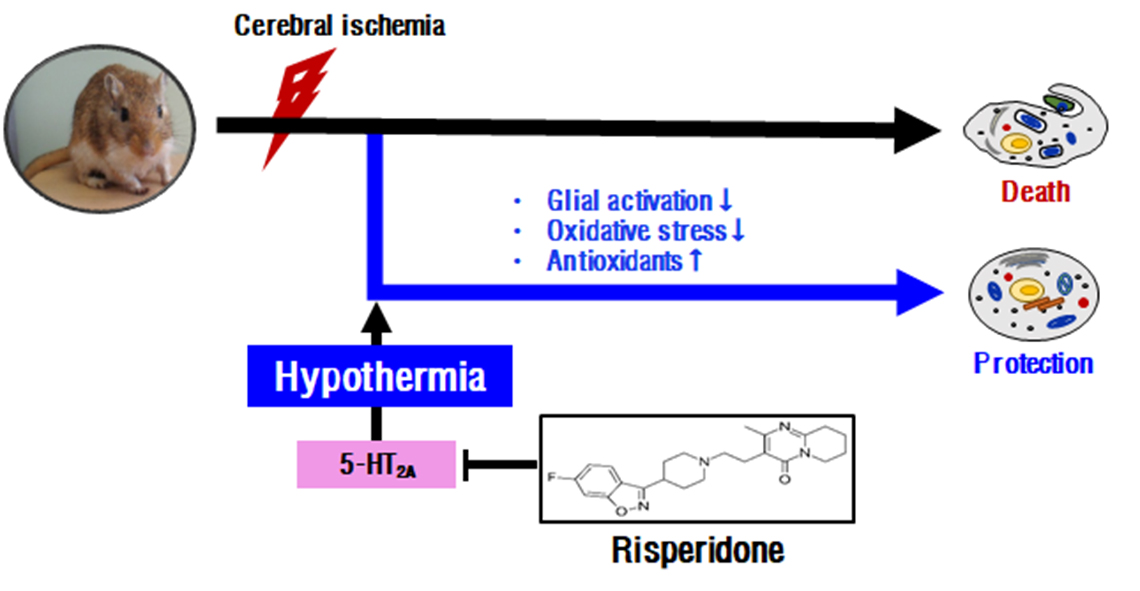 Download Adobe strand farver For iPhone Free Adobe Strand Farver