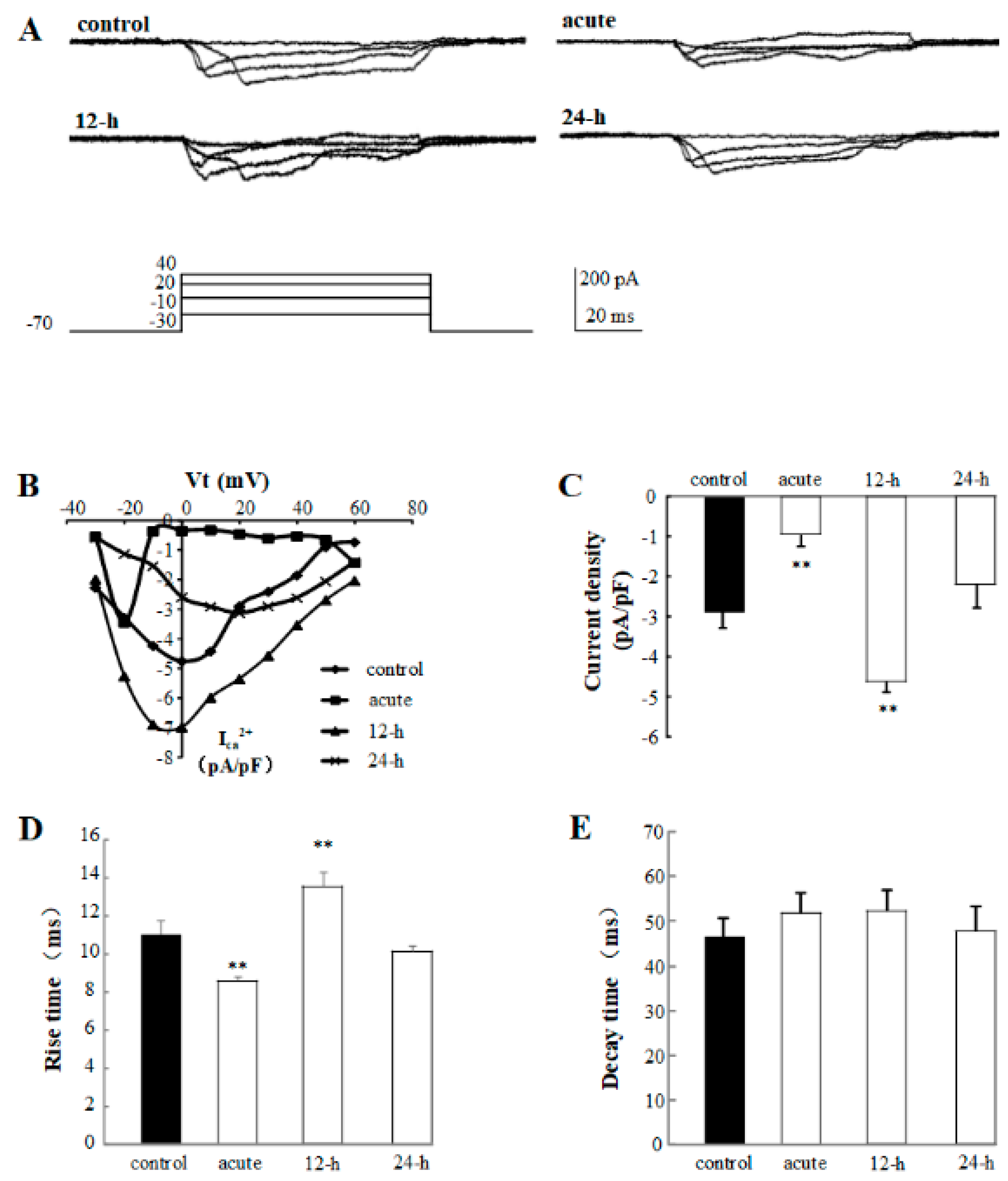 Ijms 20 04625 g005 Ijms 20 04625 g005