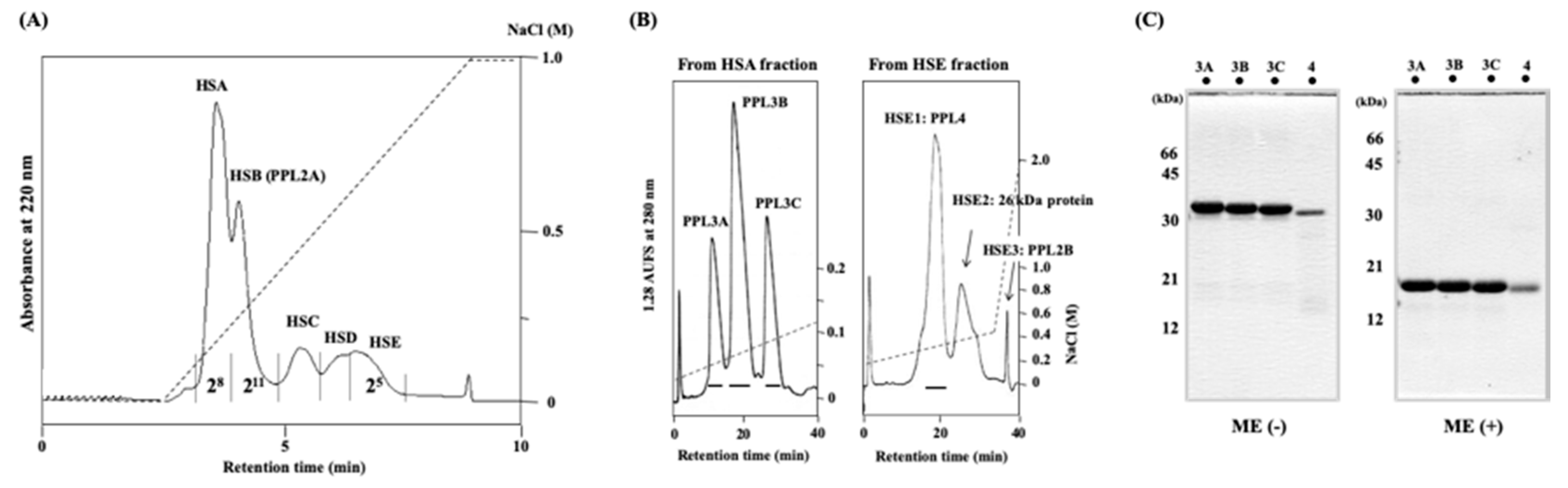 Ijms 20 04629 g001 Ijms 20 04629 g001