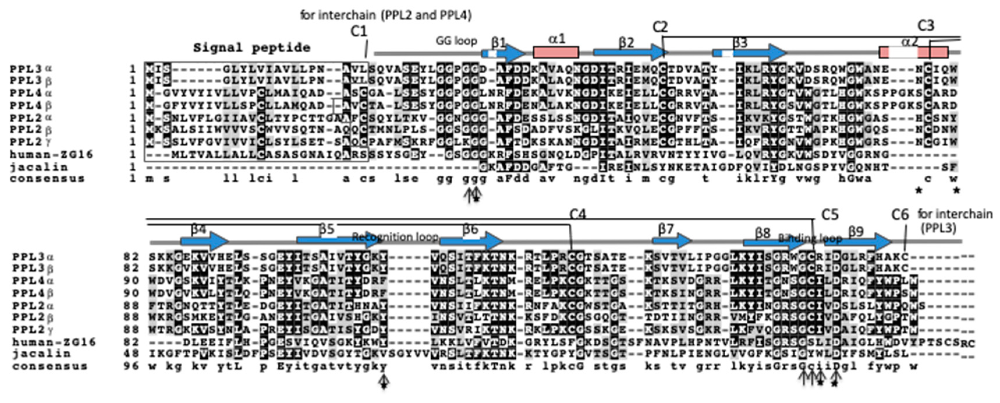 Ijms 20 04629 g002 Ijms 20 04629 g002