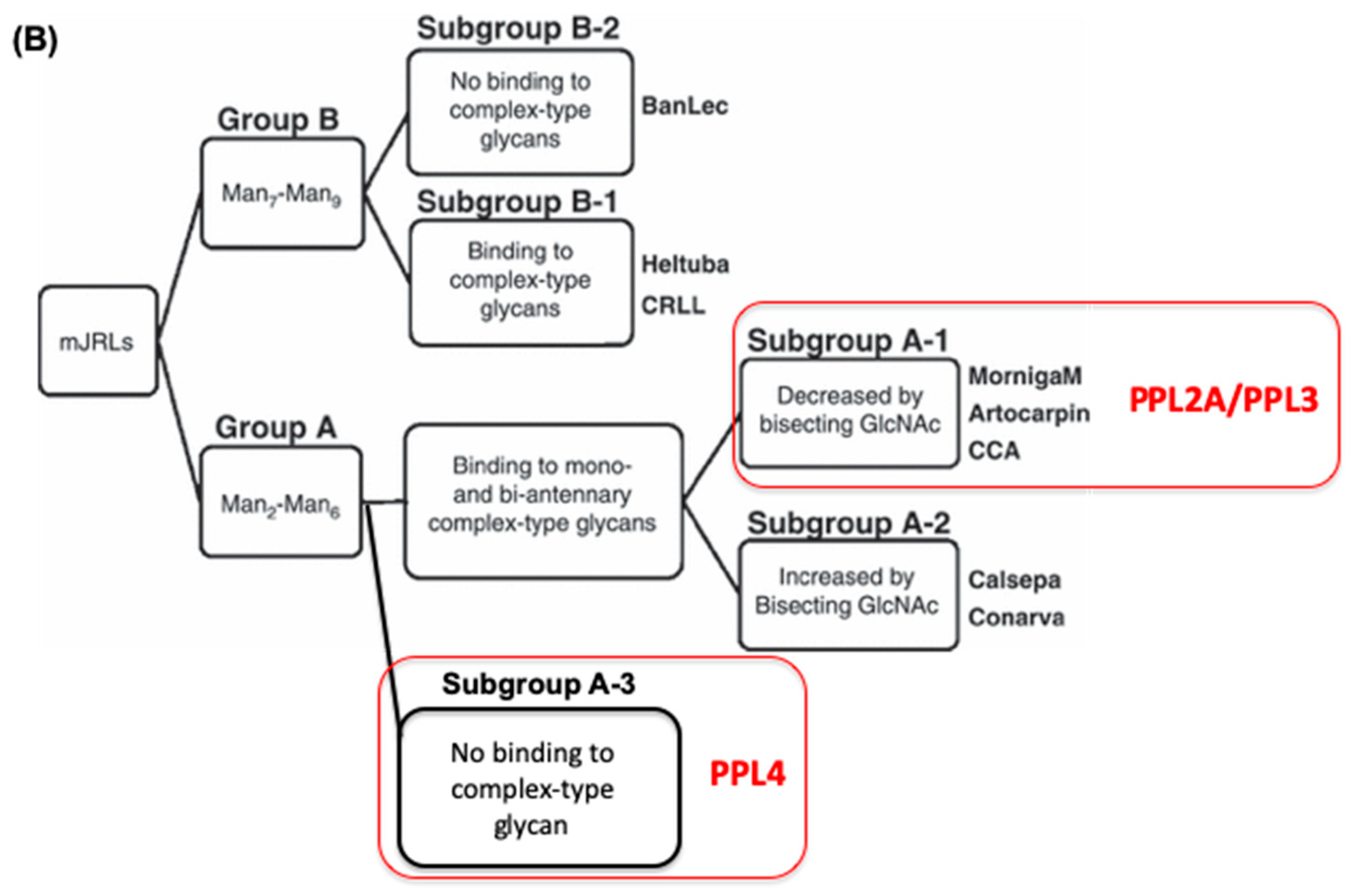 Ijms 20 04629 g005b Ijms 20 04629 g005b