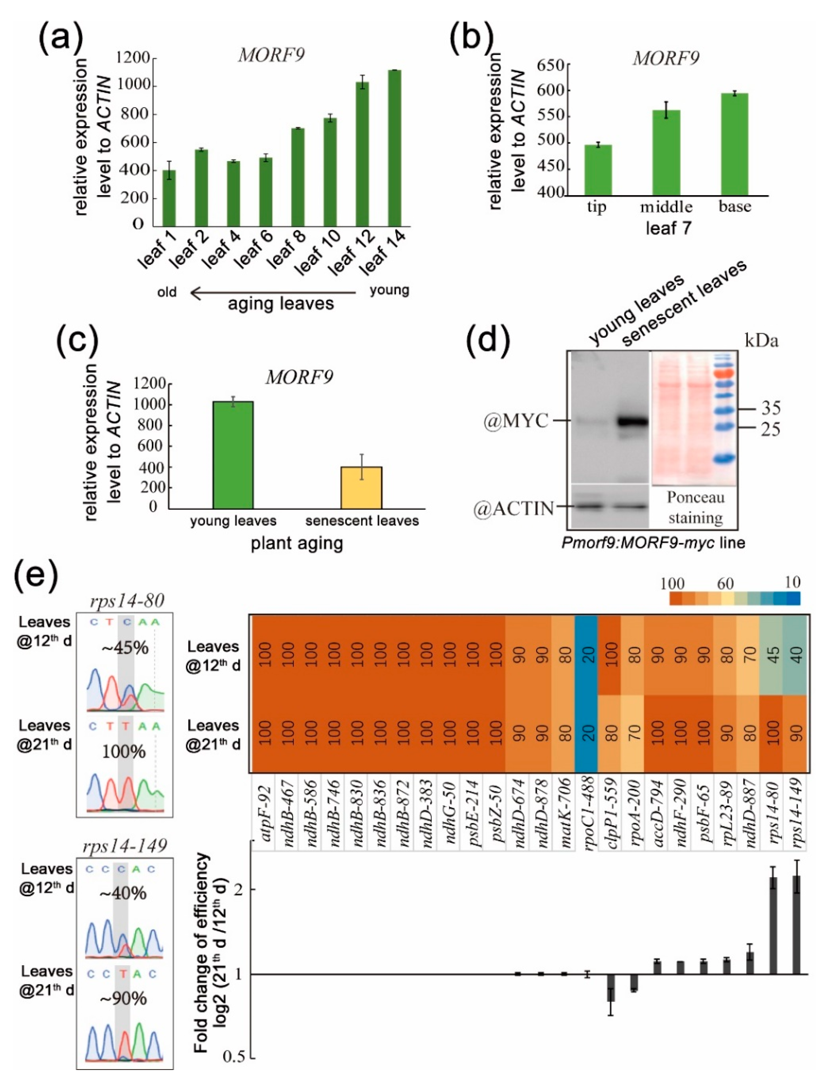 Ijms 20 04635 g007 Ijms 20 04635 g007