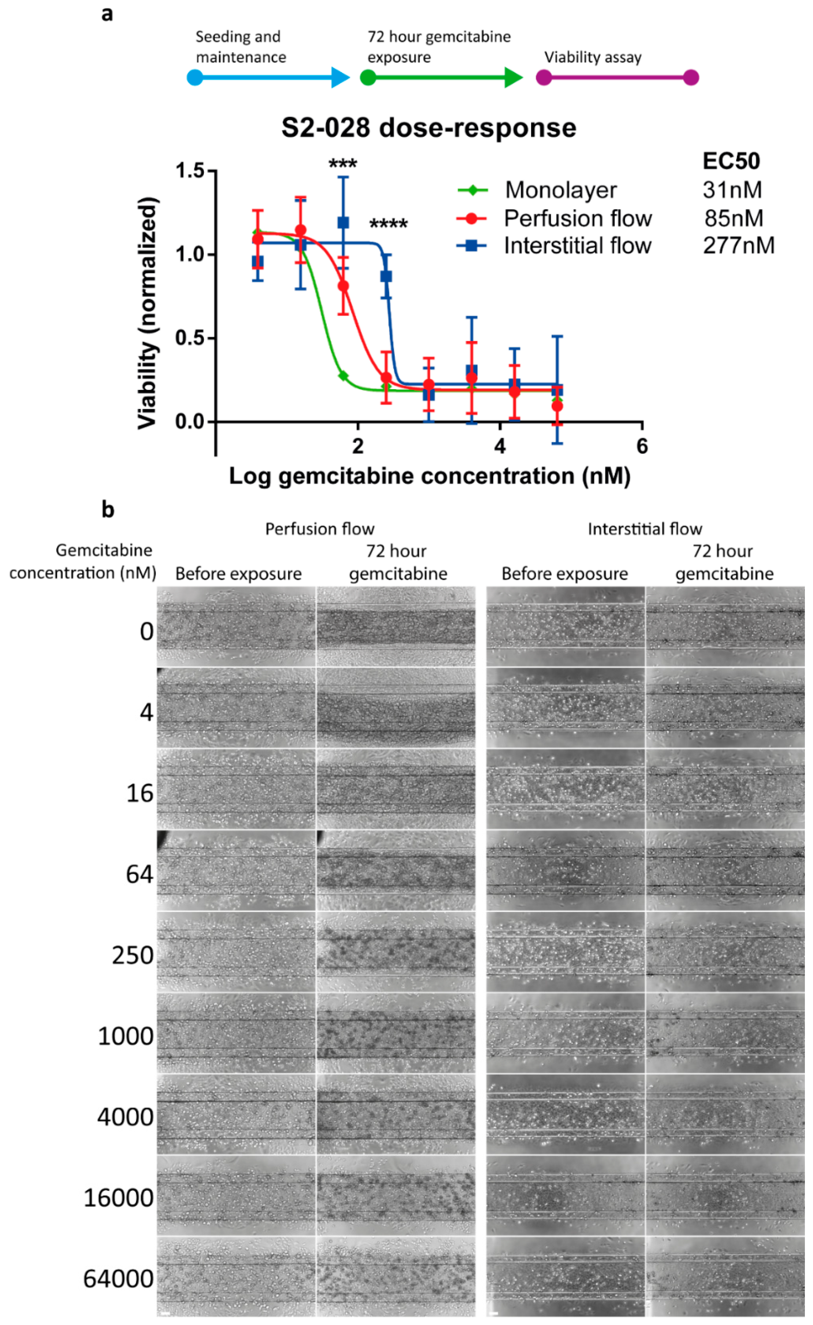 Ijms 20 04647 g003 Ijms 20 04647 g003