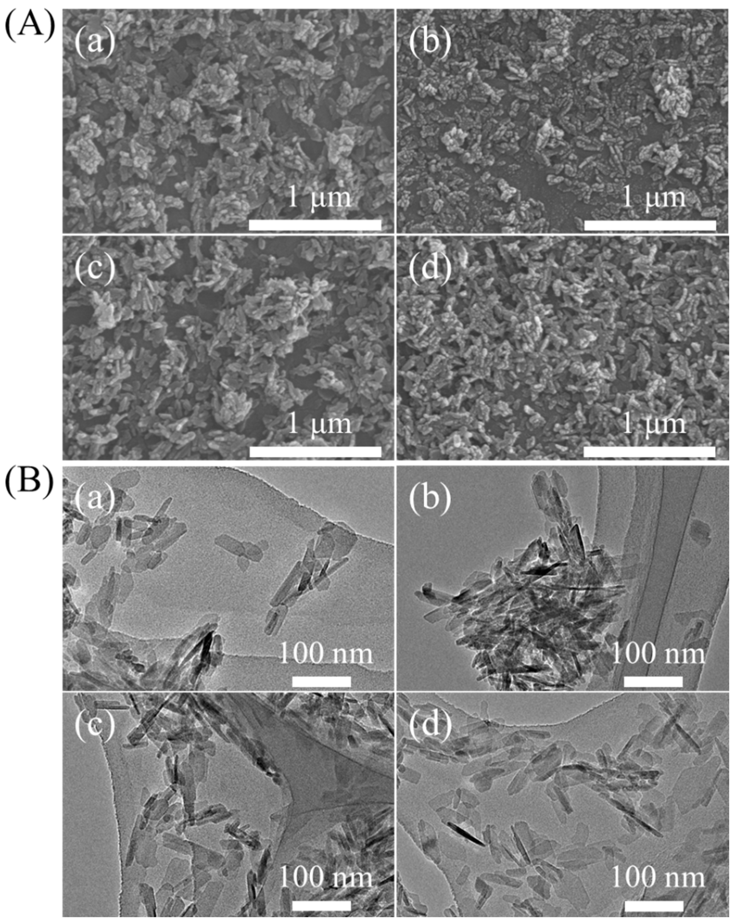 Ijms 20 04650 g002 550