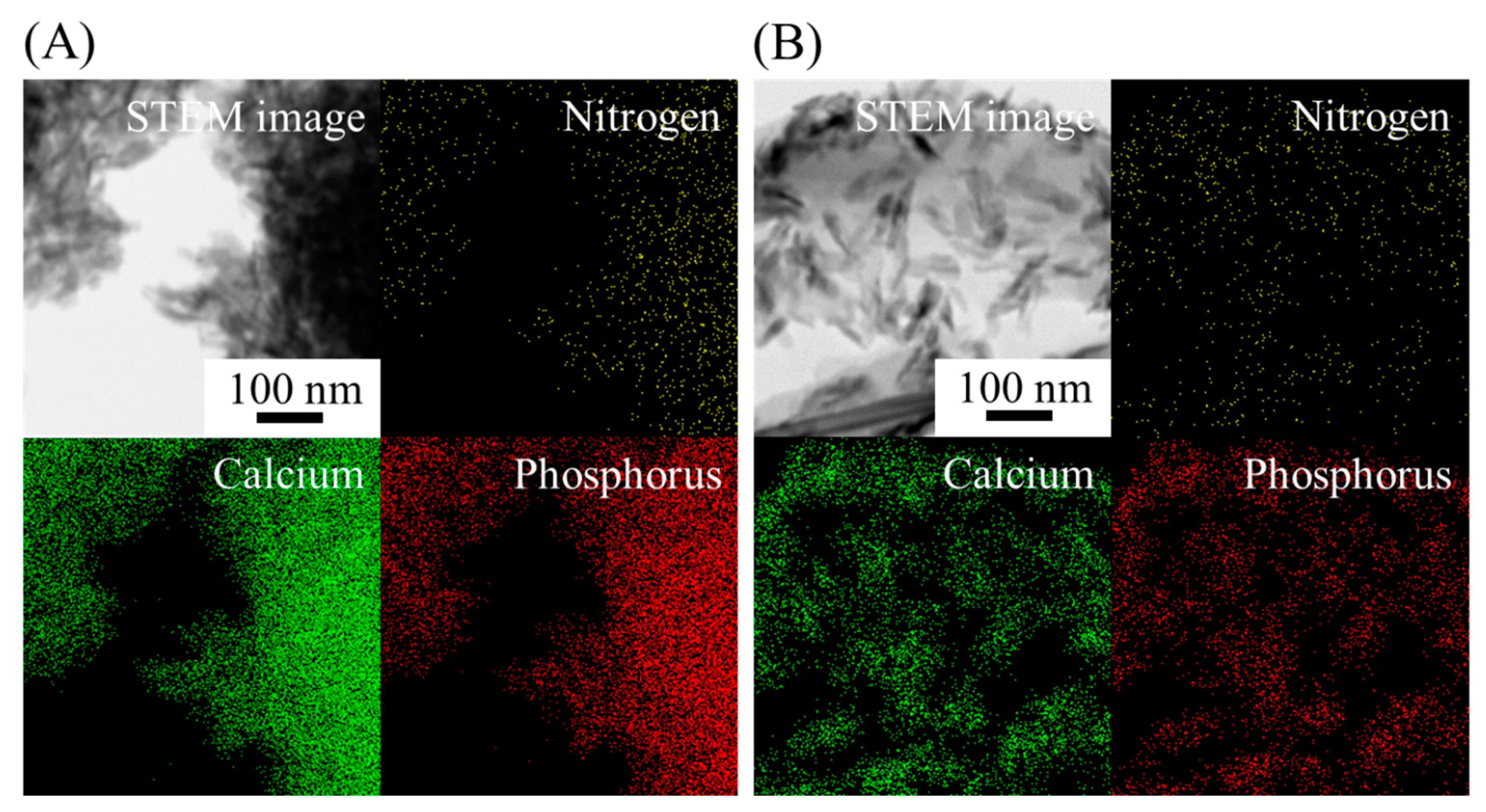 Ijms 20 04650 g005 550