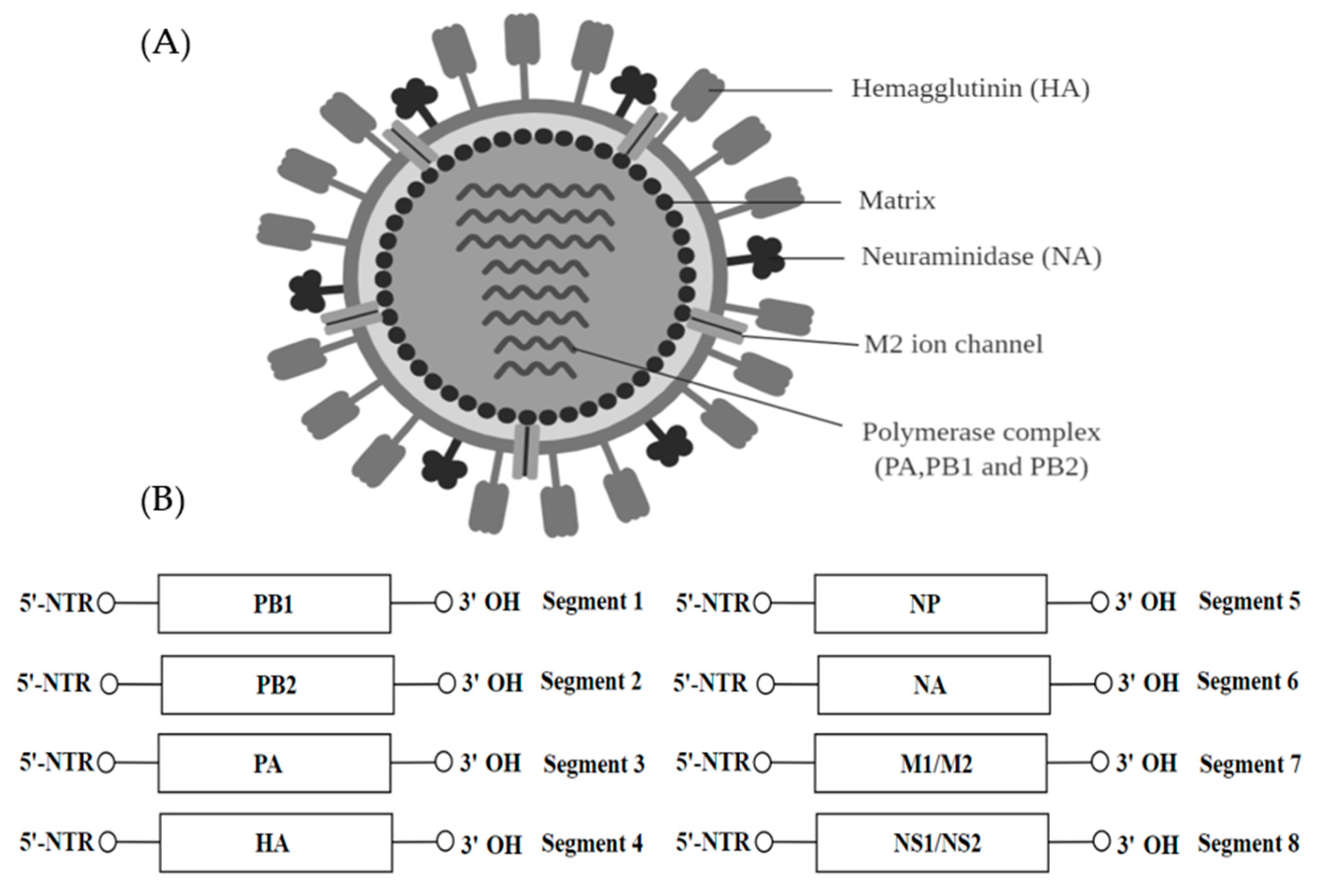 Ijms 20 04657 g009