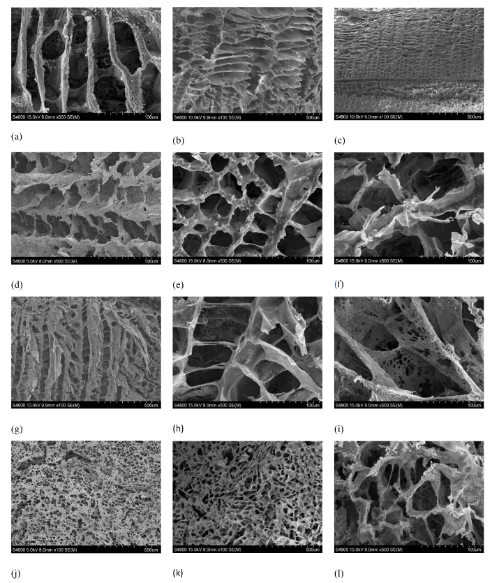 Ijms 20 04664 g003 Ijms 20 04664 g003