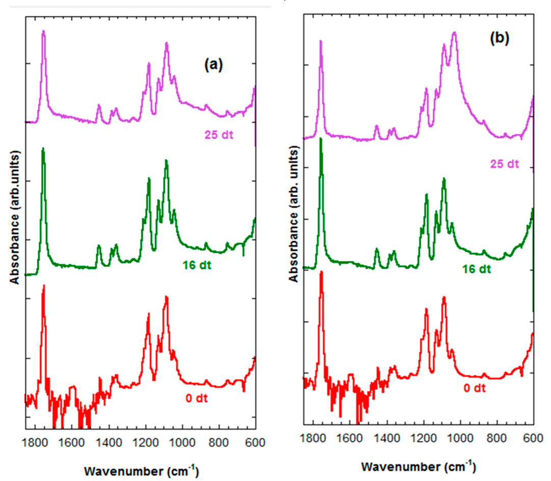 Ijms 20 04664 g007 Ijms 20 04664 g007