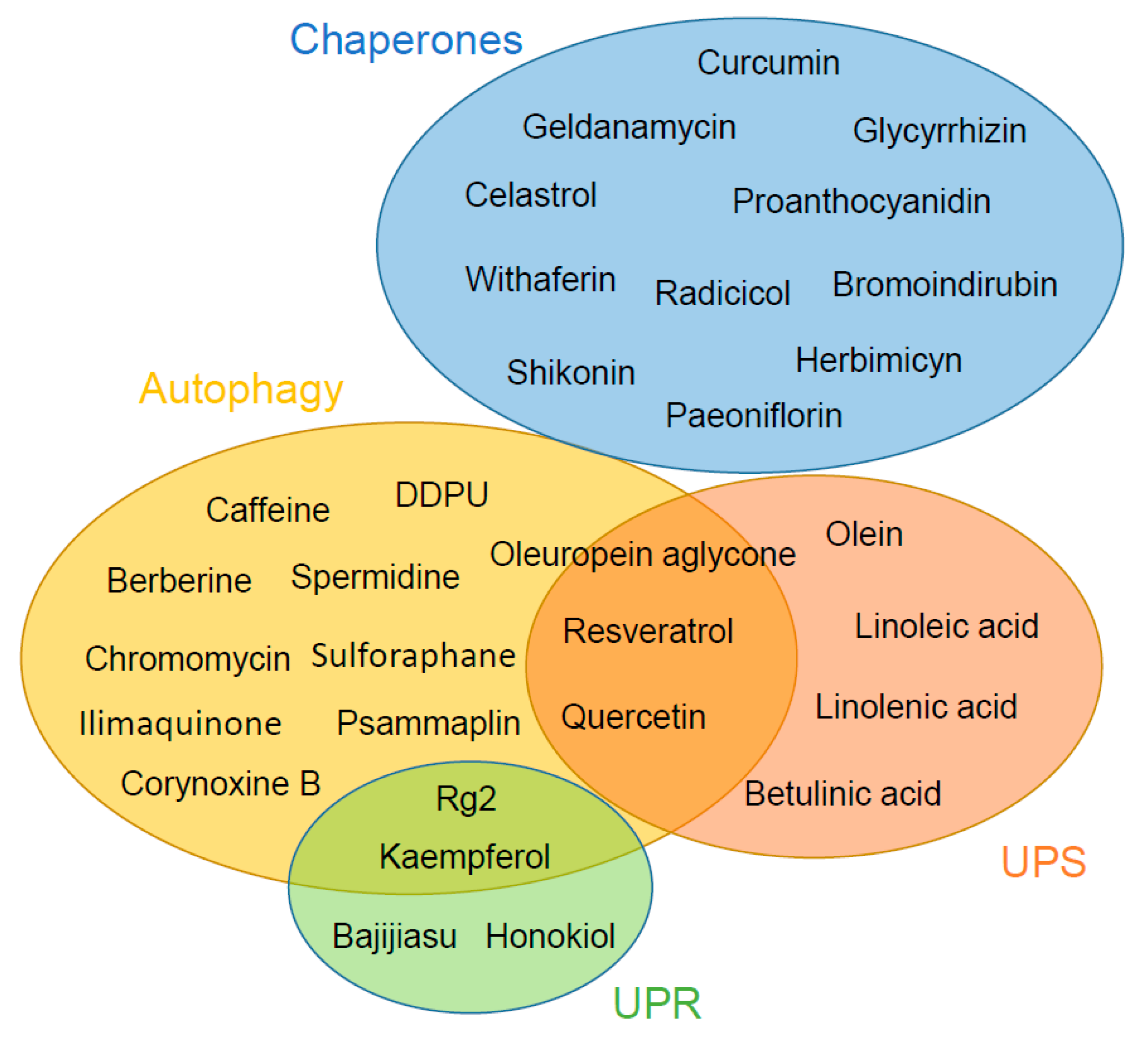 Ijms 20 04666 g001 Ijms 20 04666 g001