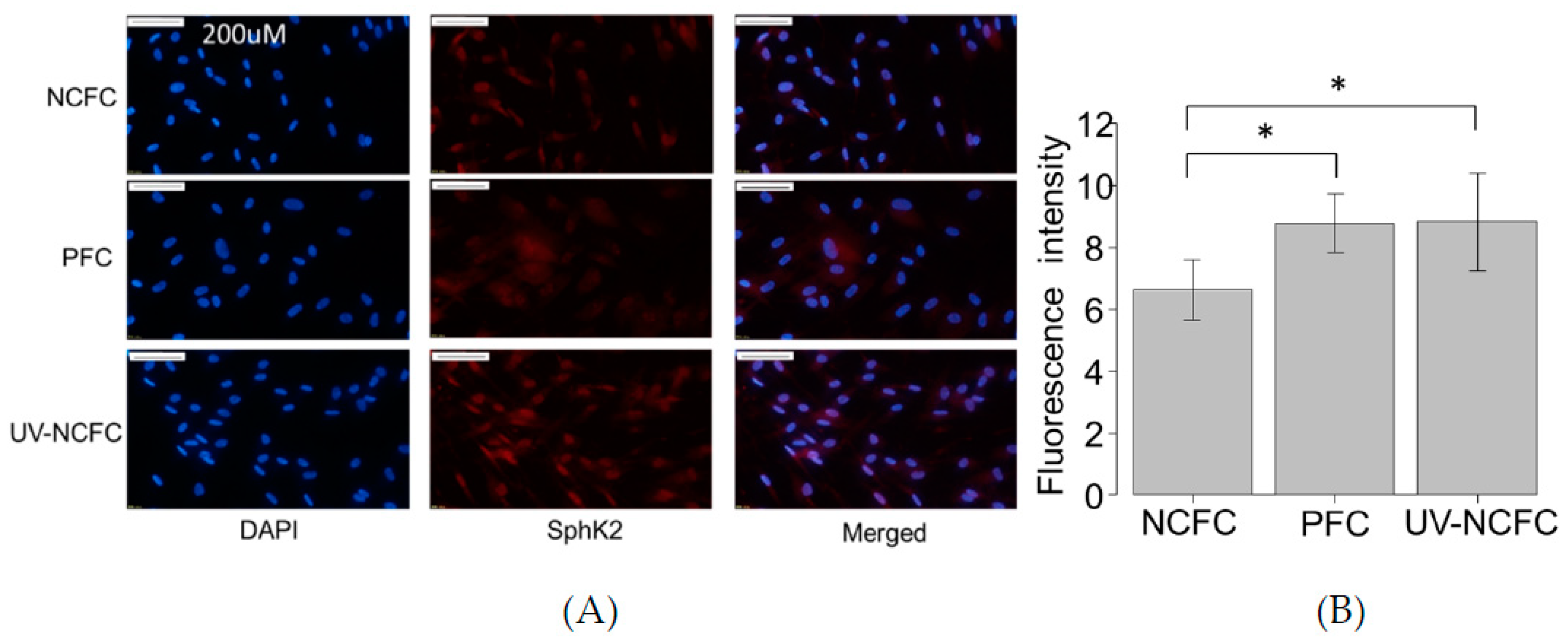 Ijms 20 04670 g004 Ijms 20 04670 g004