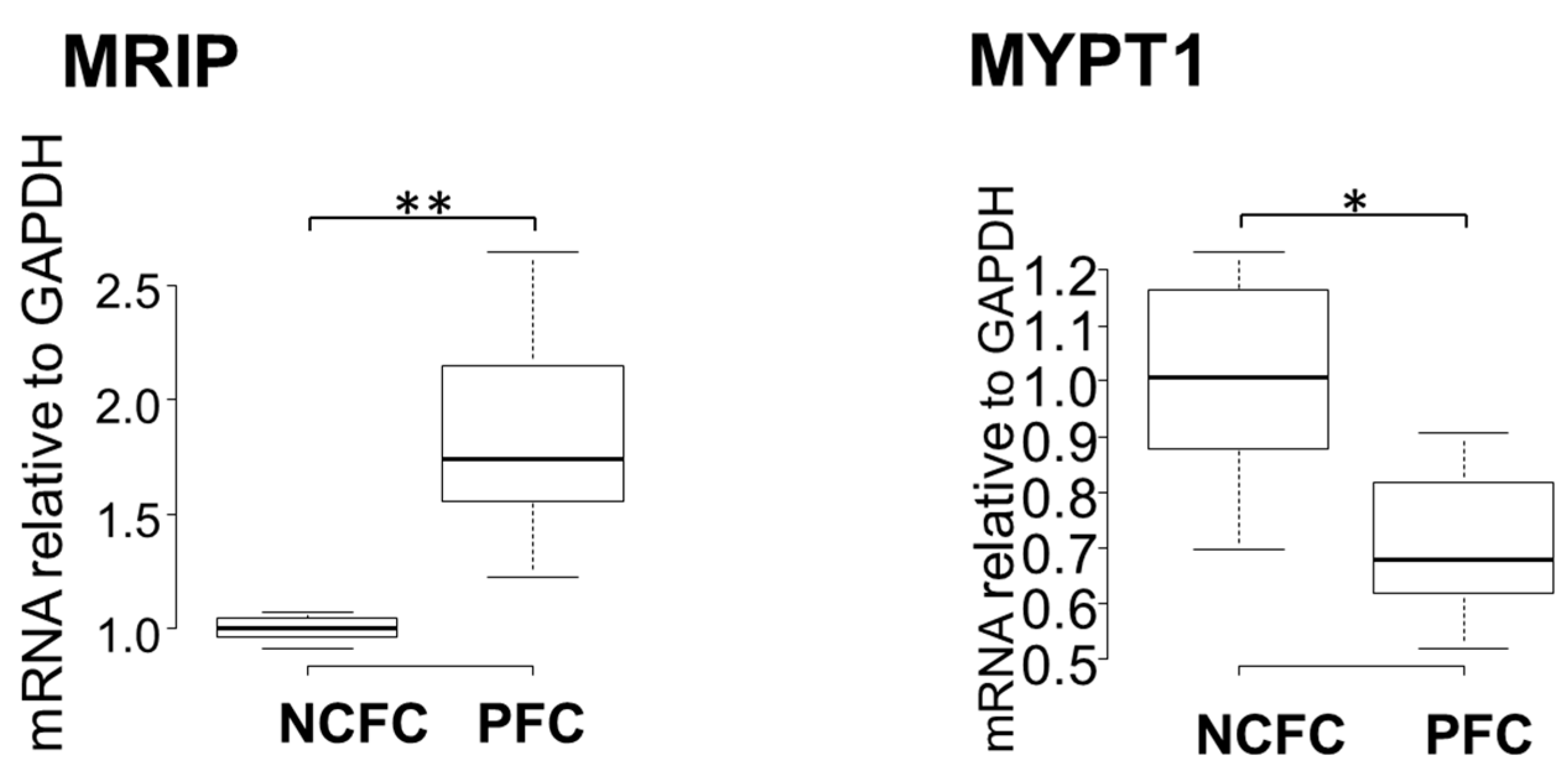 Ijms 20 04670 g007 Ijms 20 04670 g007