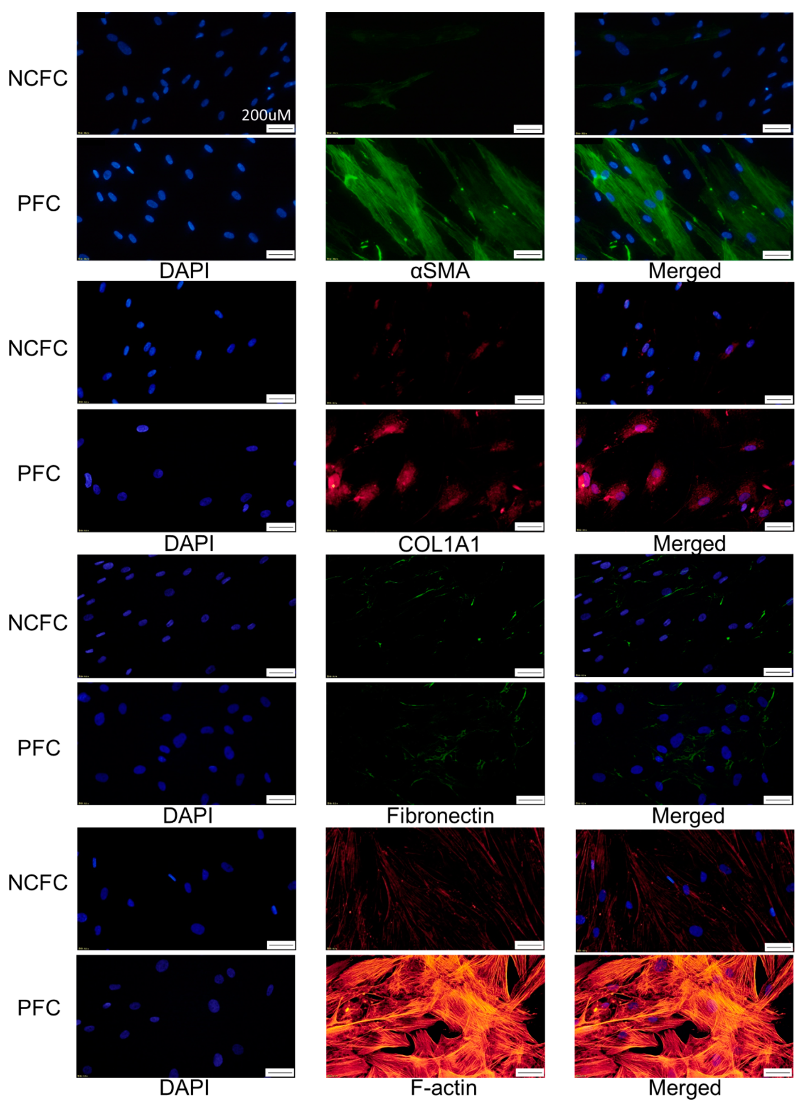 Ijms 20 04670 g008 Ijms 20 04670 g008