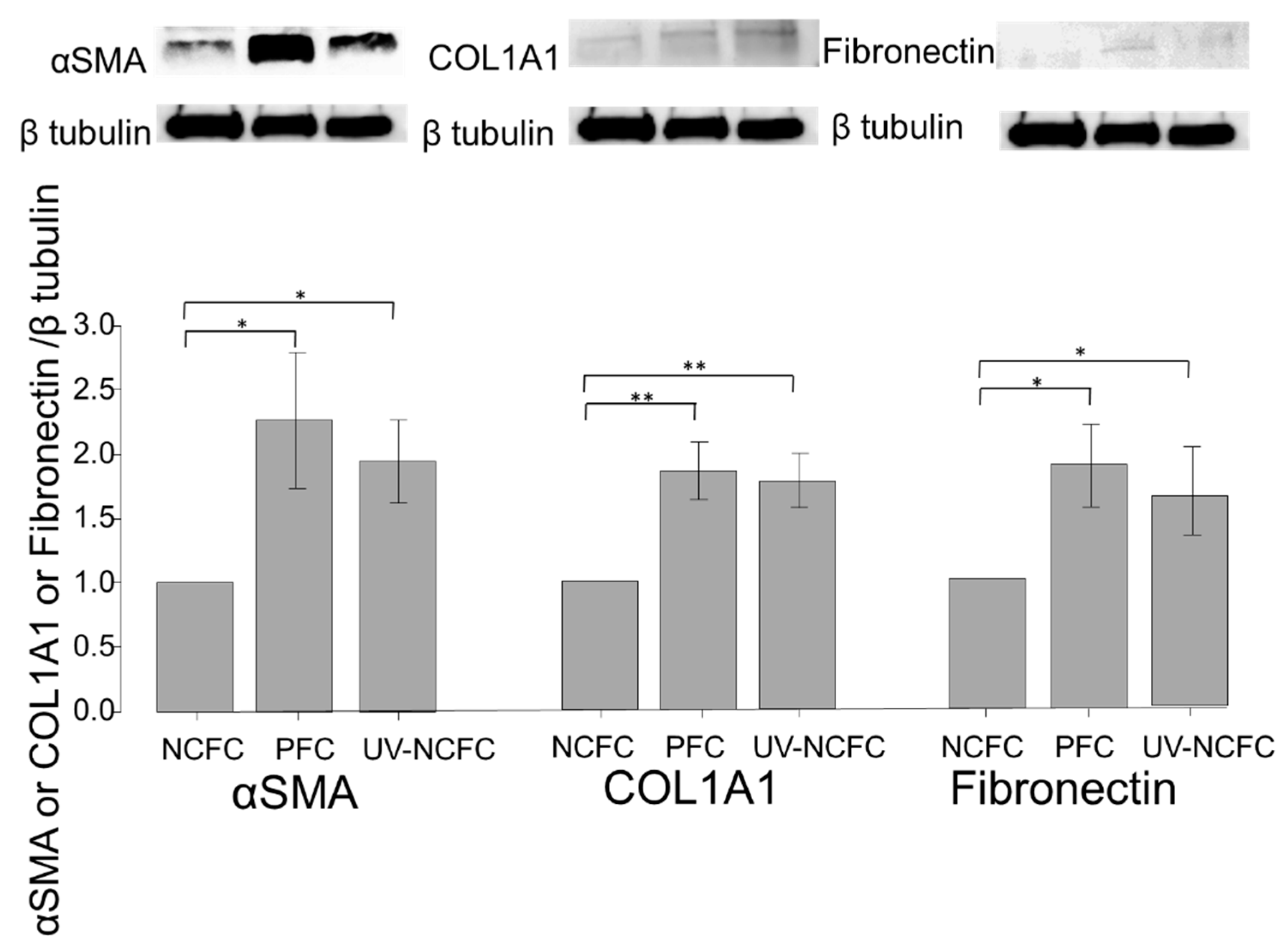 Ijms 20 04670 g011 Ijms 20 04670 g011