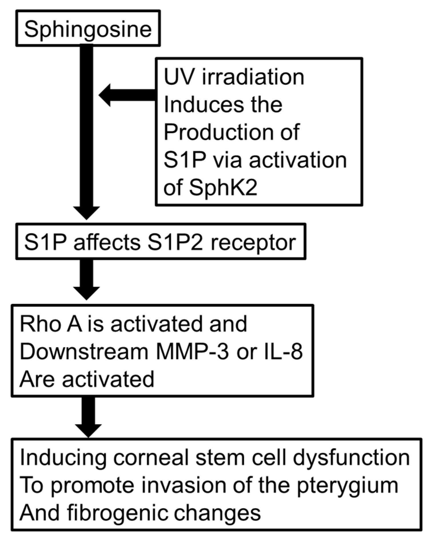 Ijms 20 04670 g013 Ijms 20 04670 g013