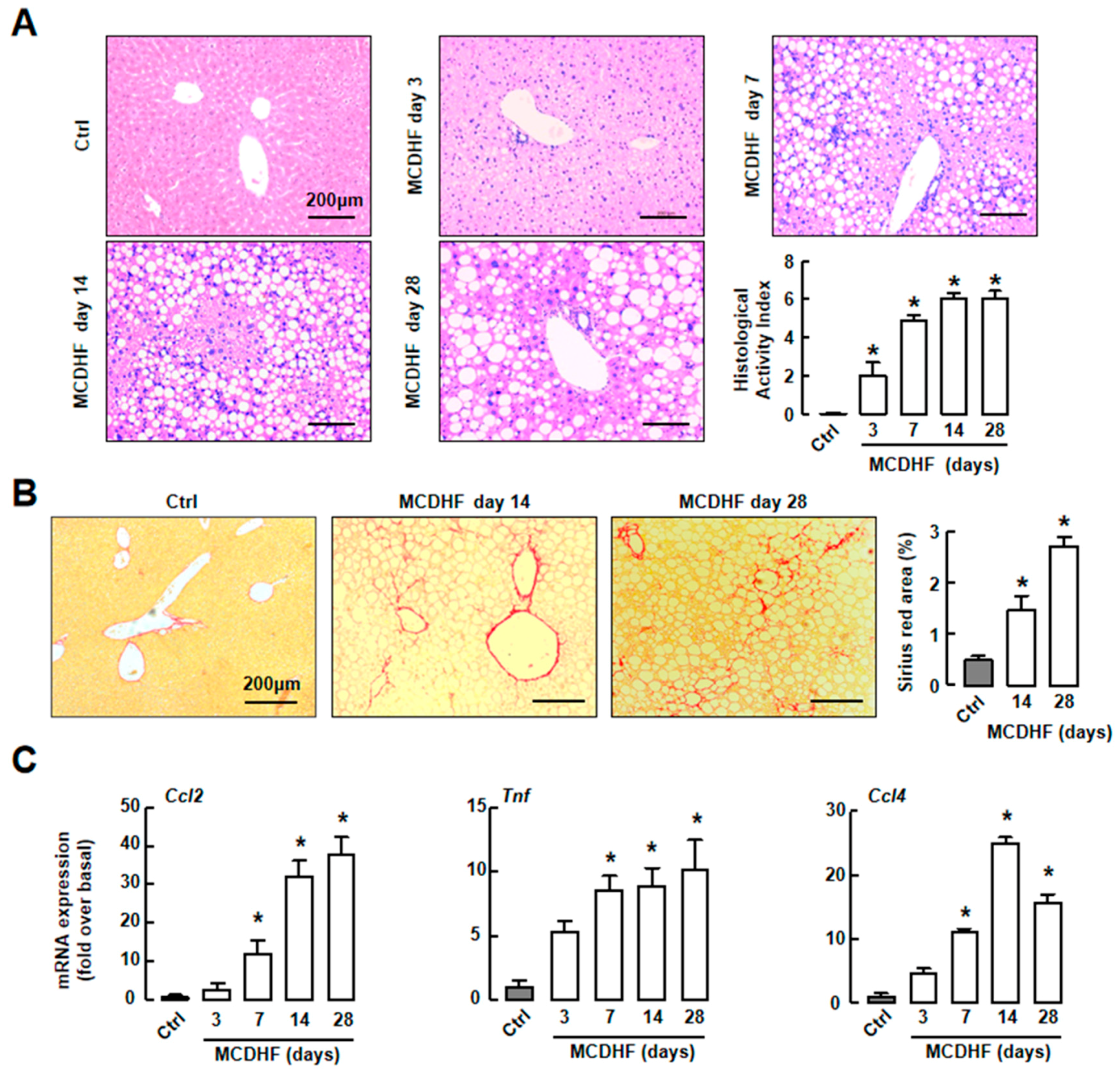 Ijms 20 04695 g001 Ijms 20 04695 g001
