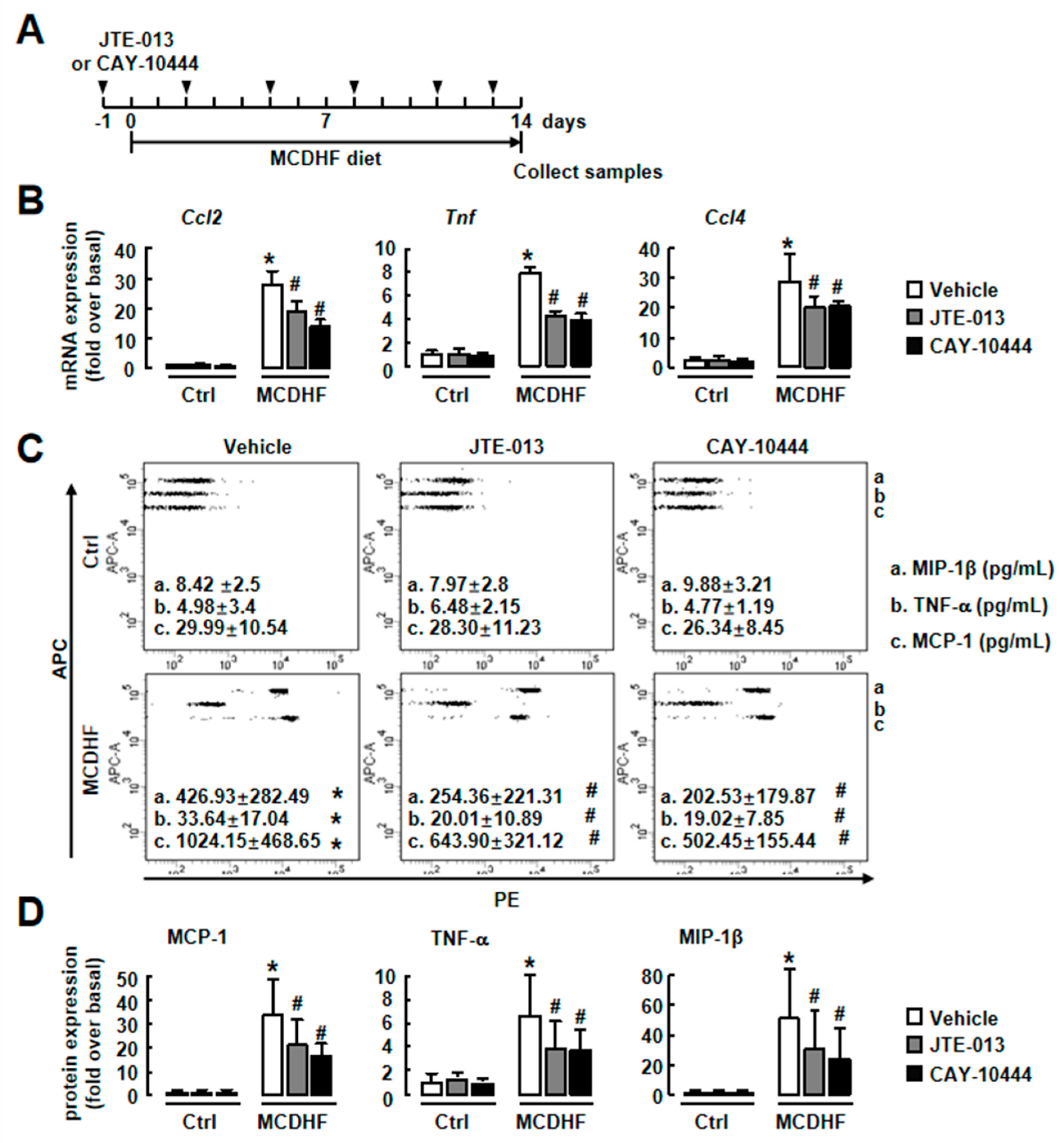 Ijms 20 04695 g003 Ijms 20 04695 g003