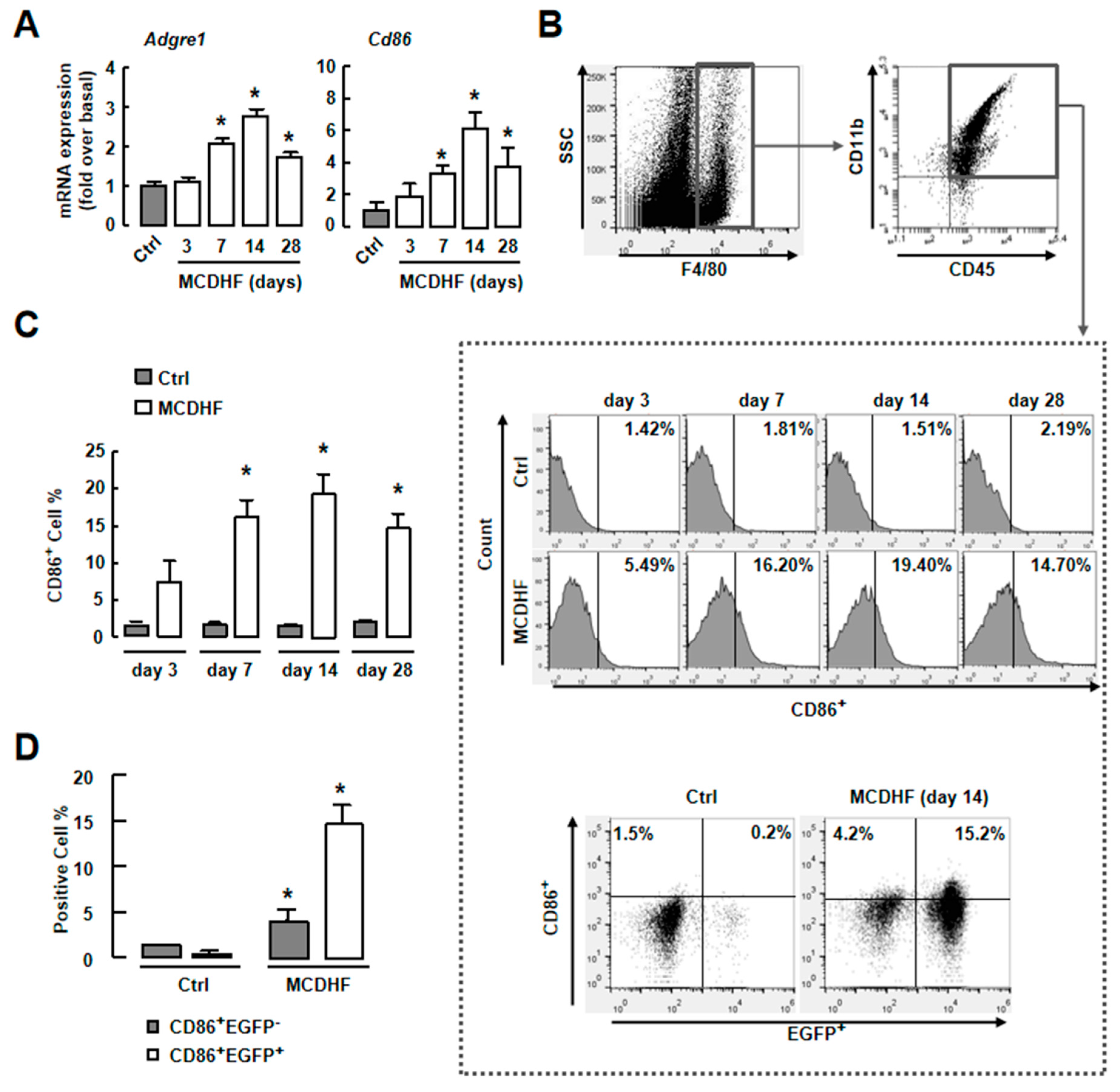 Ijms 20 04695 g004 Ijms 20 04695 g004
