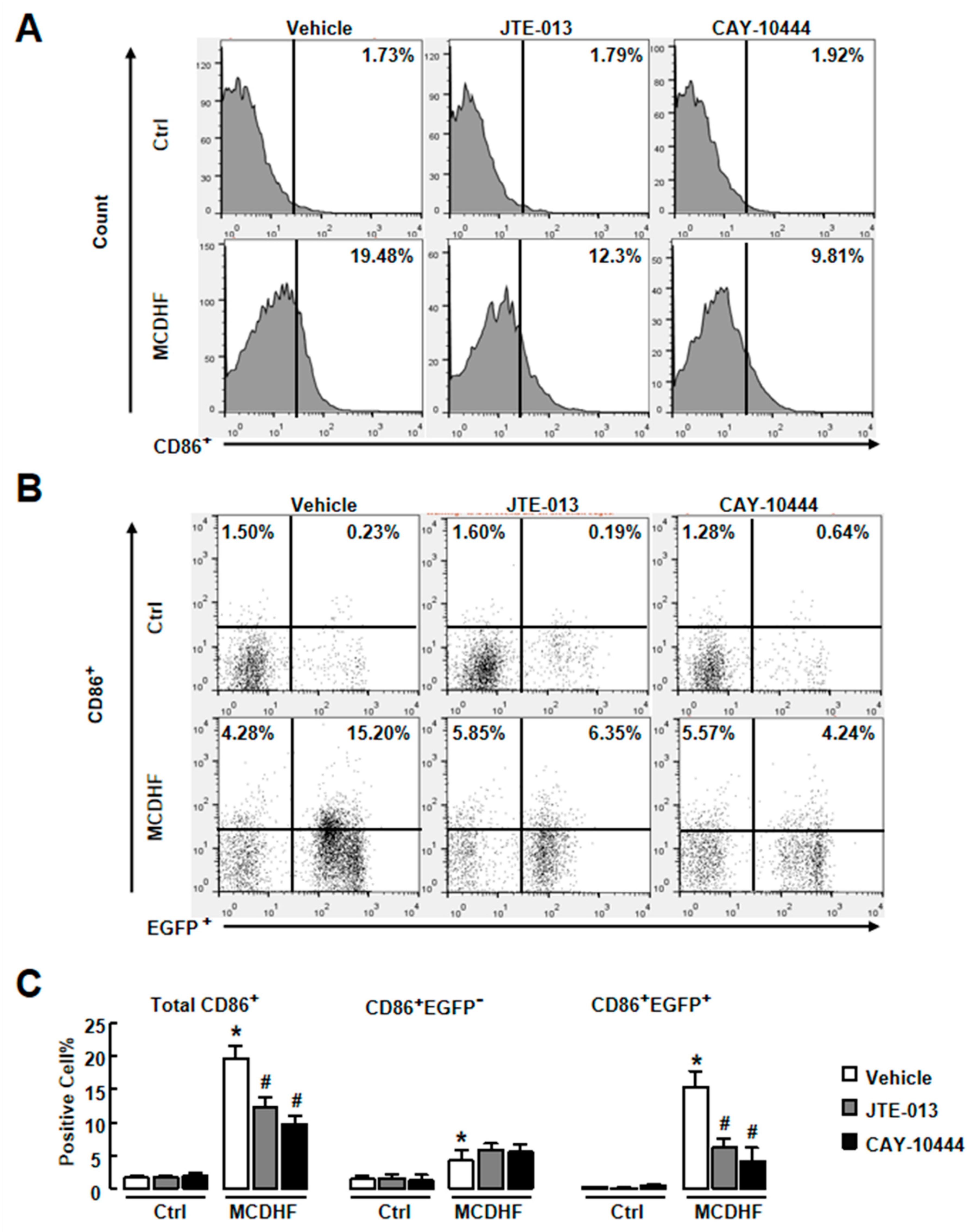 Ijms 20 04695 g005 Ijms 20 04695 g005