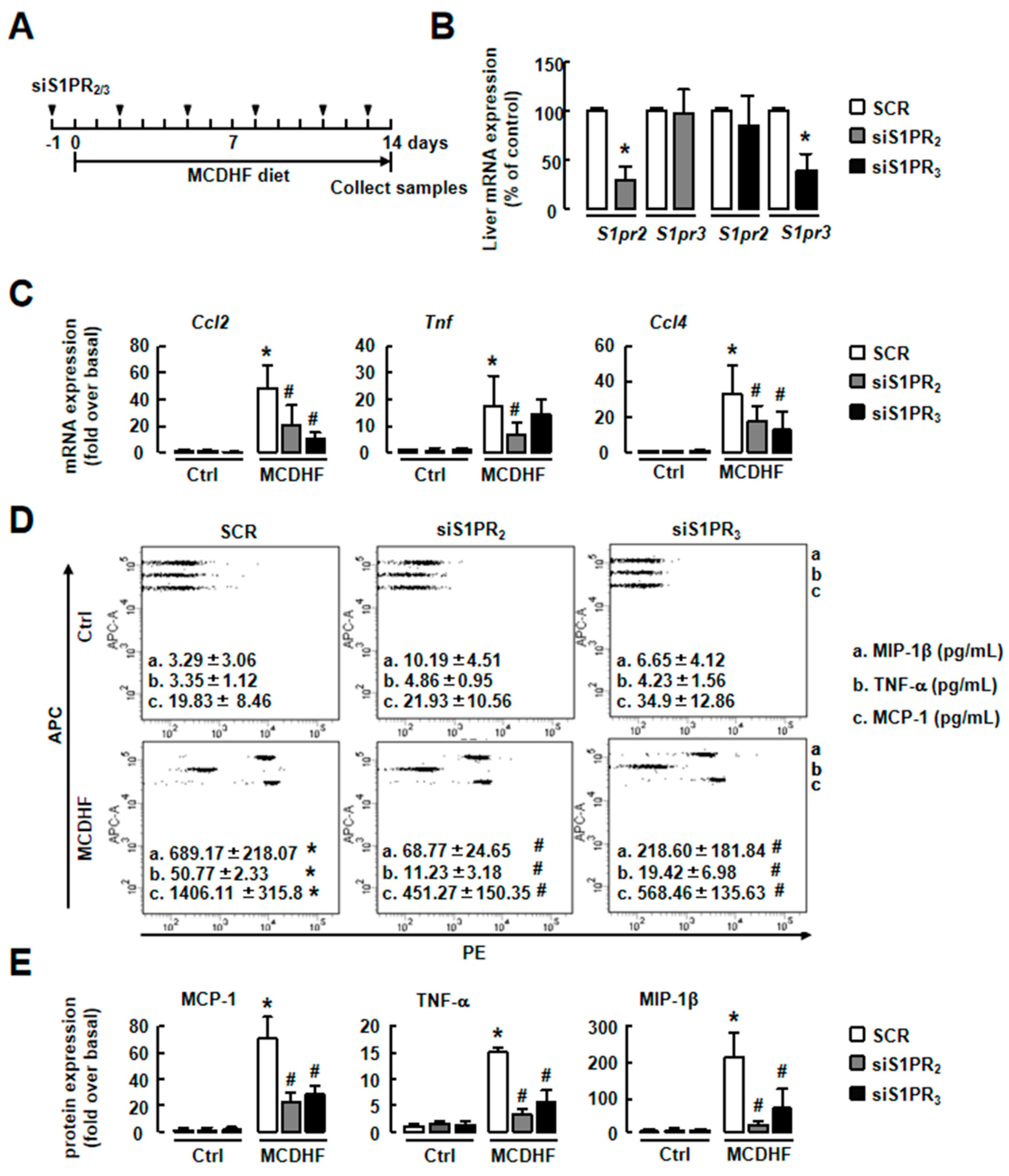 Ijms 20 04695 g006 Ijms 20 04695 g006