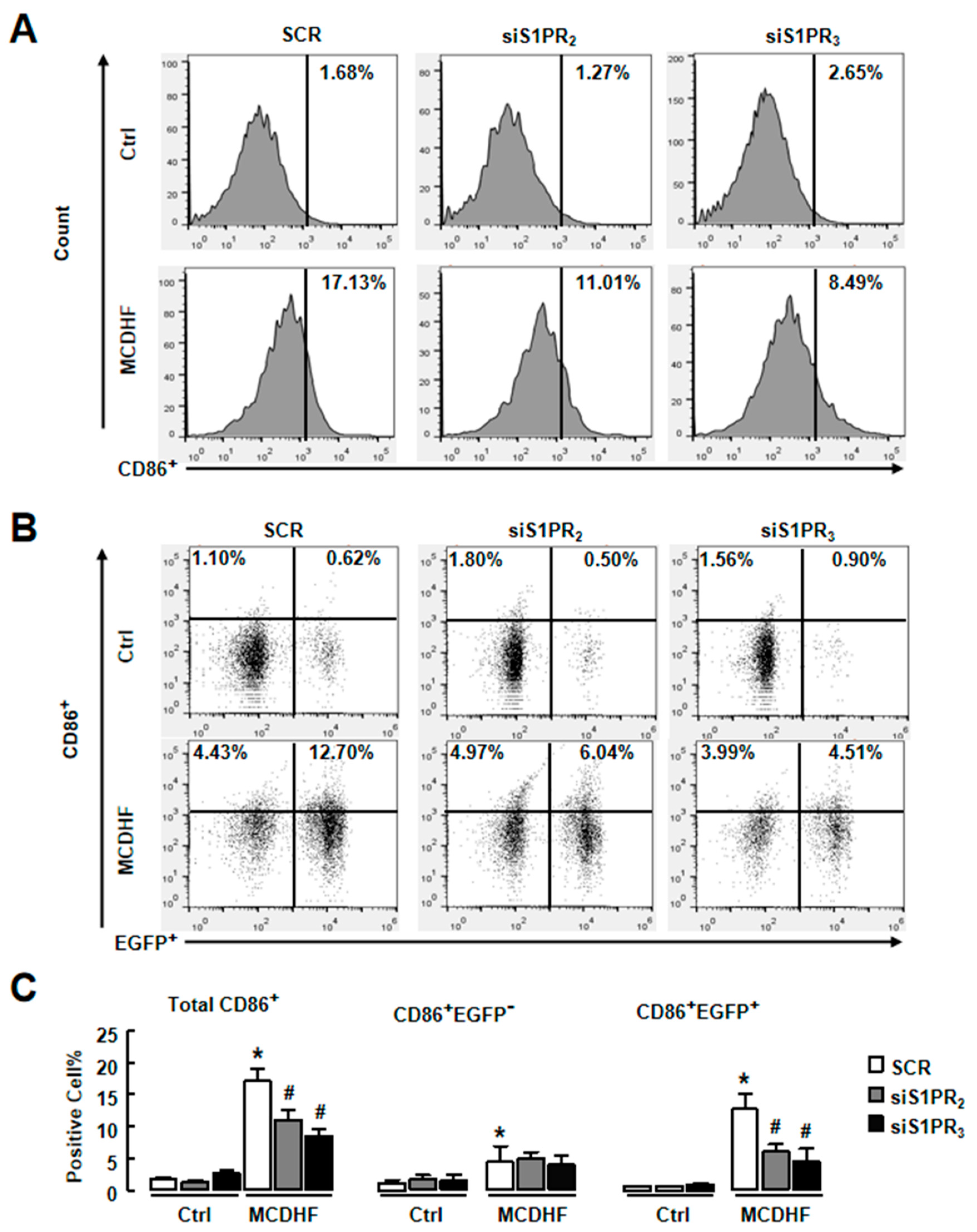 Ijms 20 04695 g007 Ijms 20 04695 g007