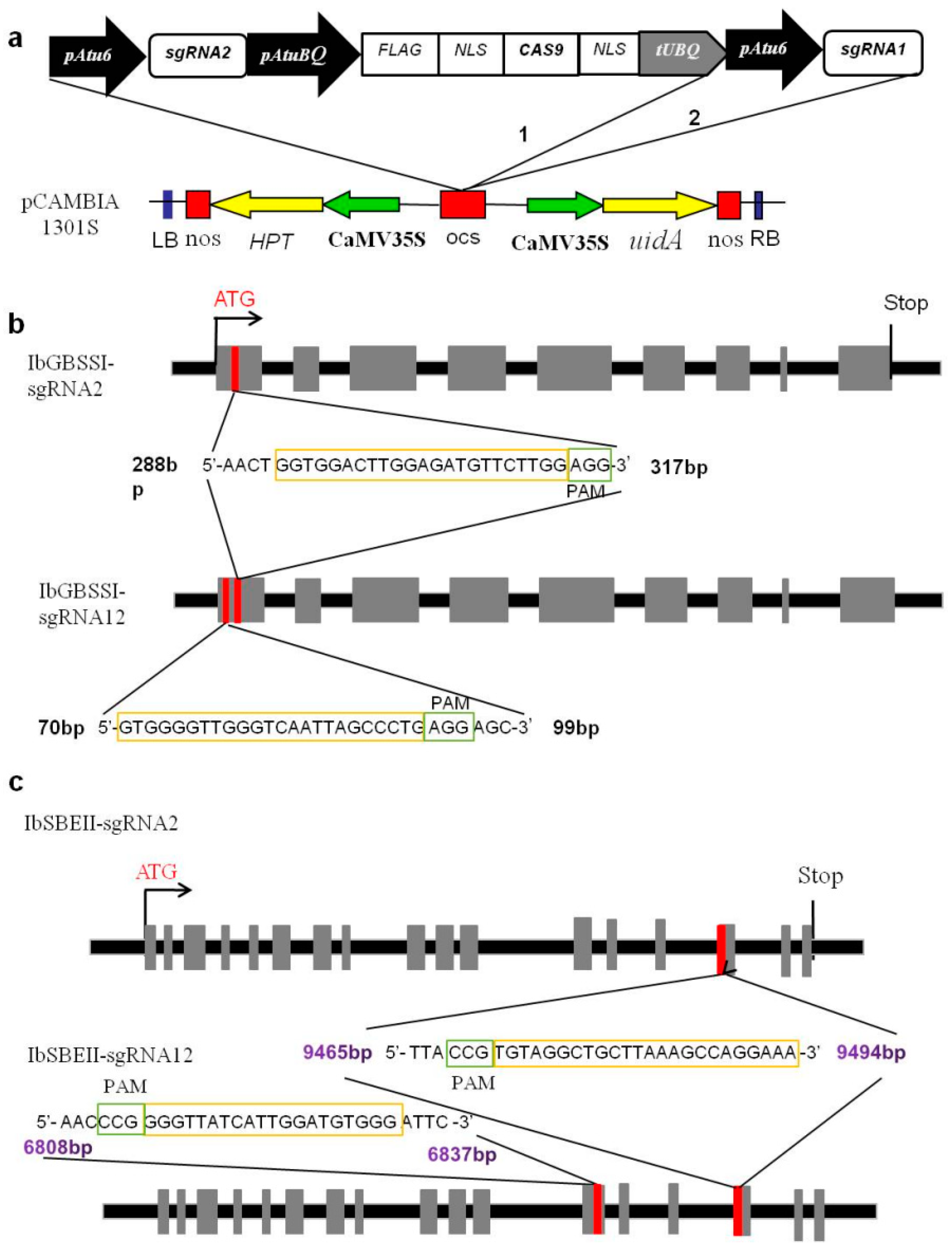 Ijms 20 04702 g001 Ijms 20 04702 g001