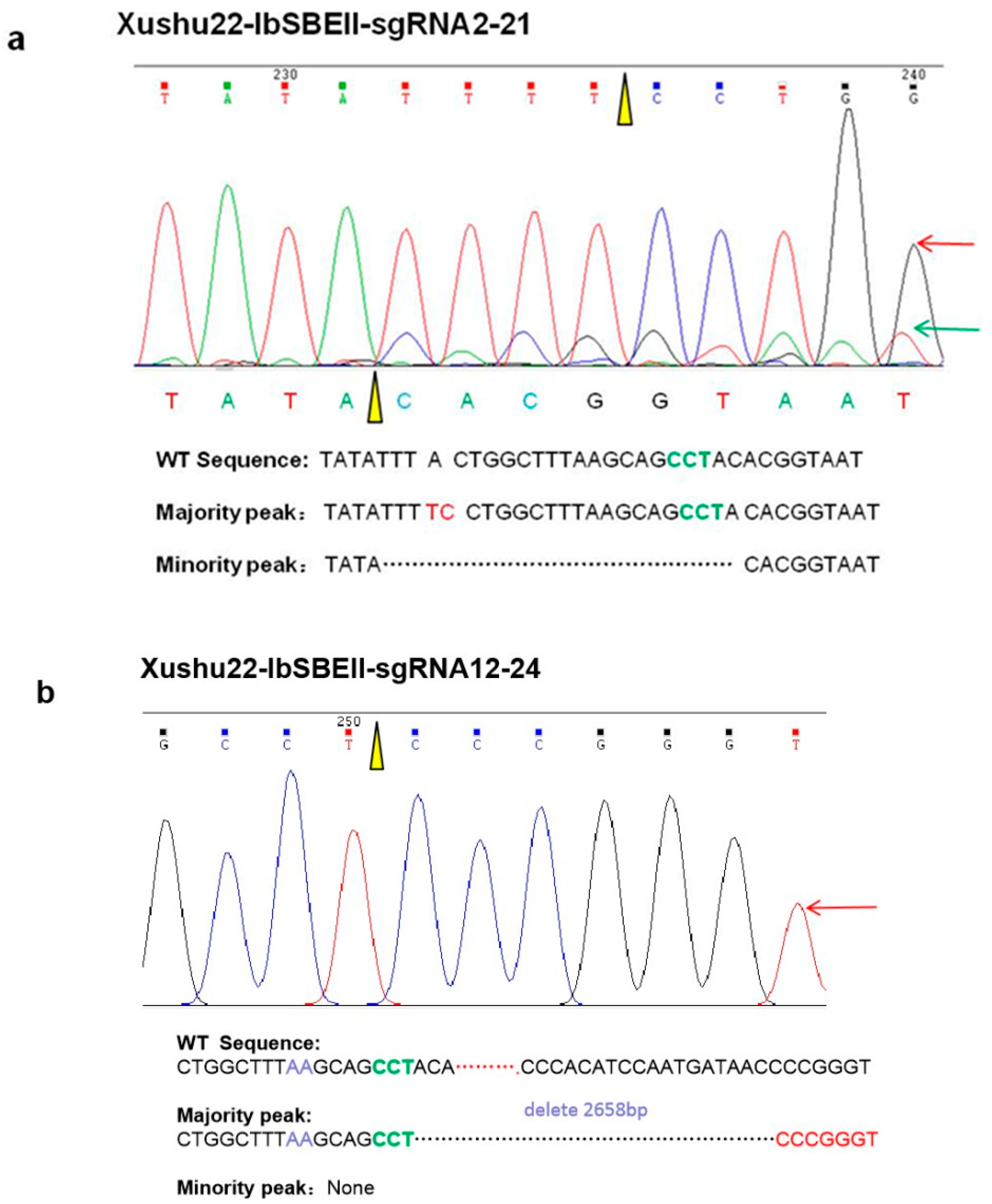 Ijms 20 04702 g003 Ijms 20 04702 g003