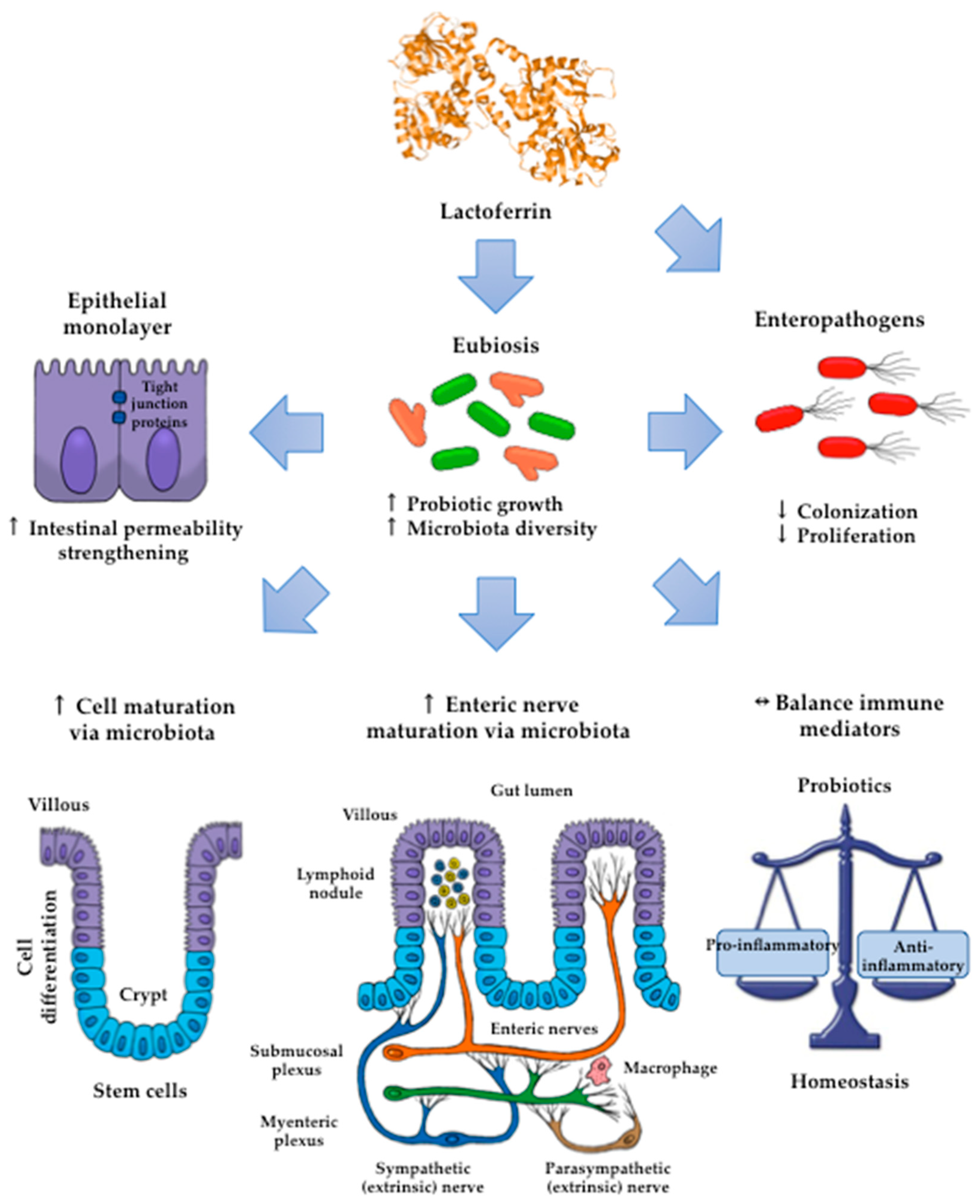 Ijms 20 04707 g003 Ijms 20 04707 g003