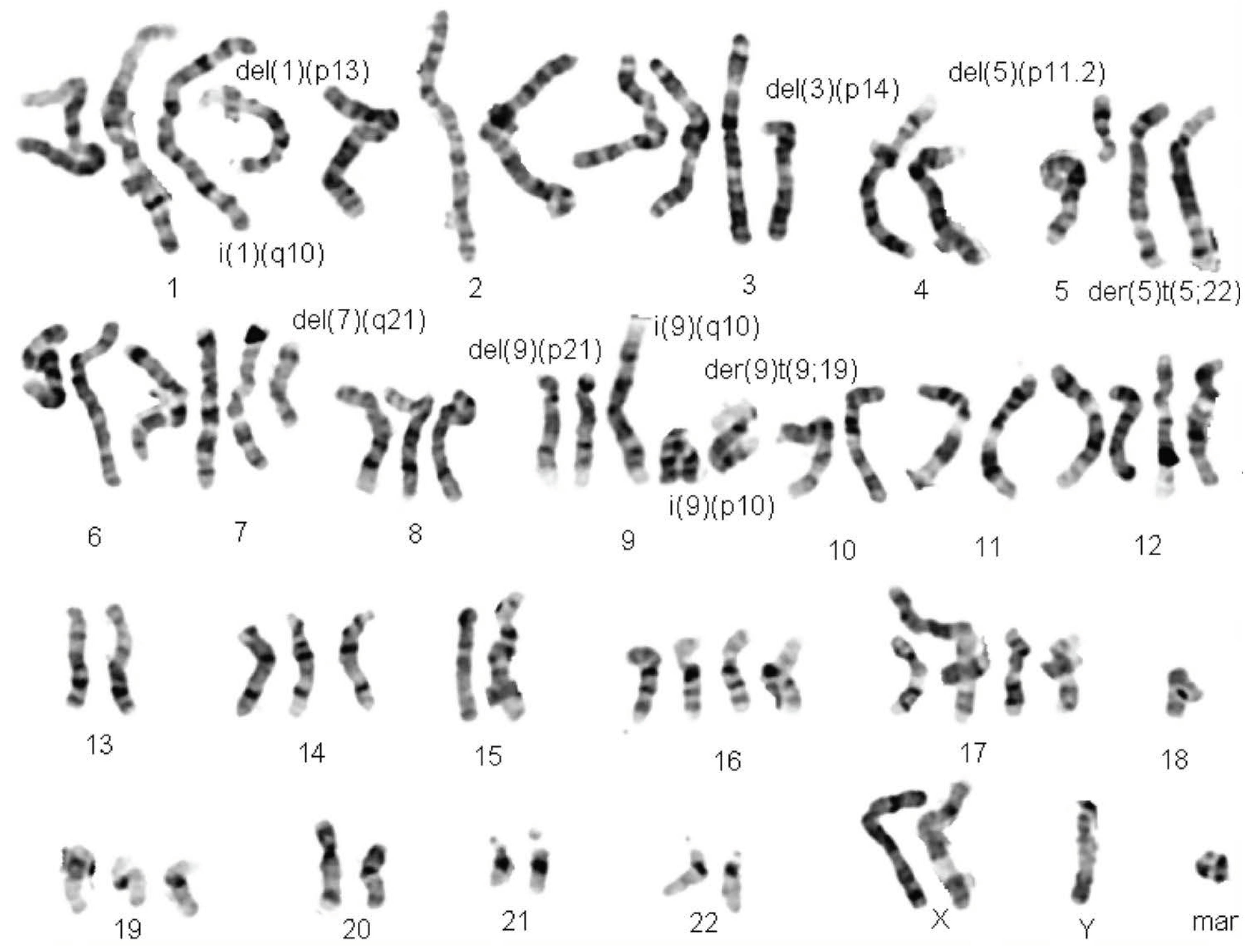 Ijms 20 04711 g001