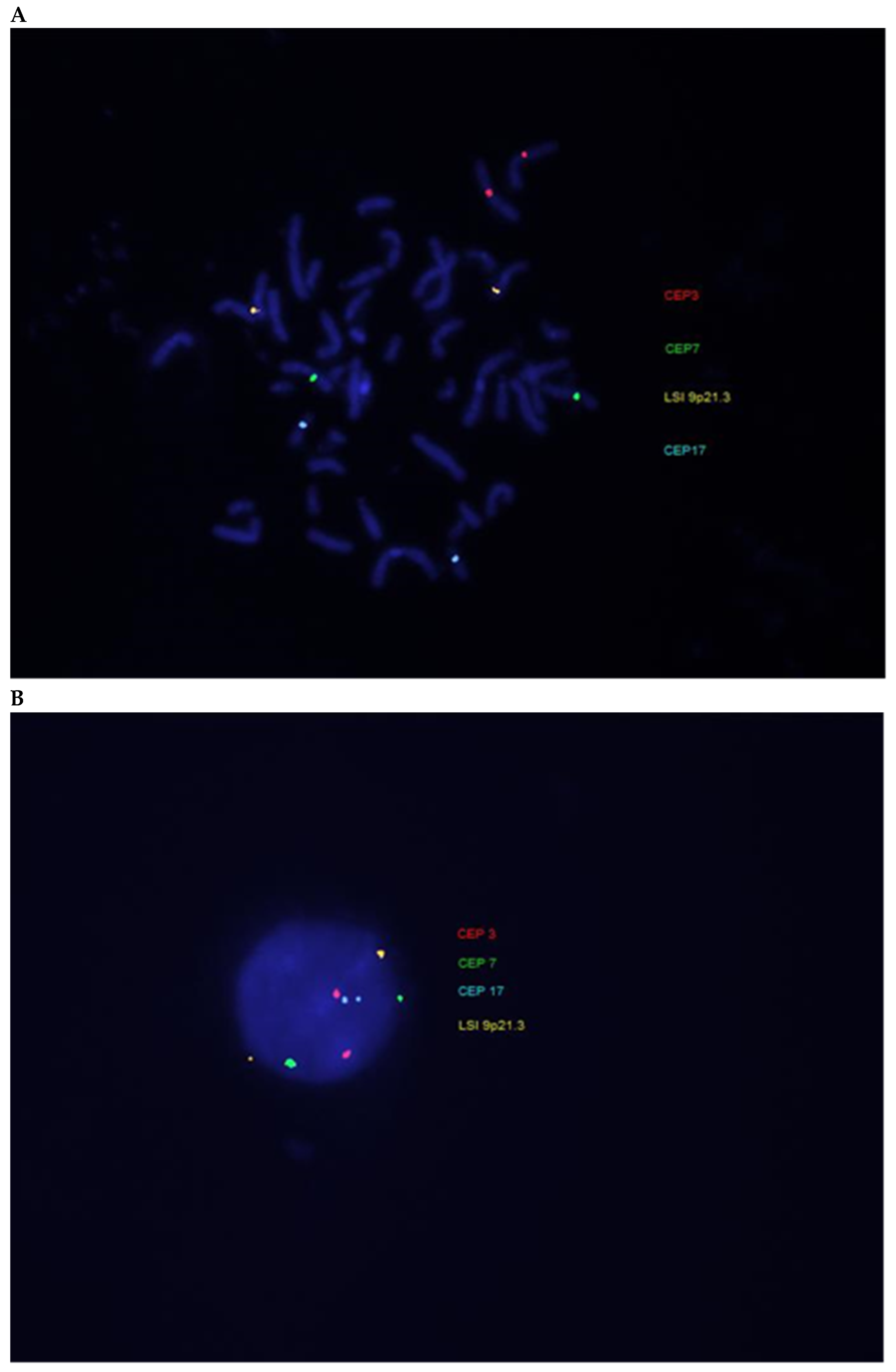 Ijms 20 04711 g002