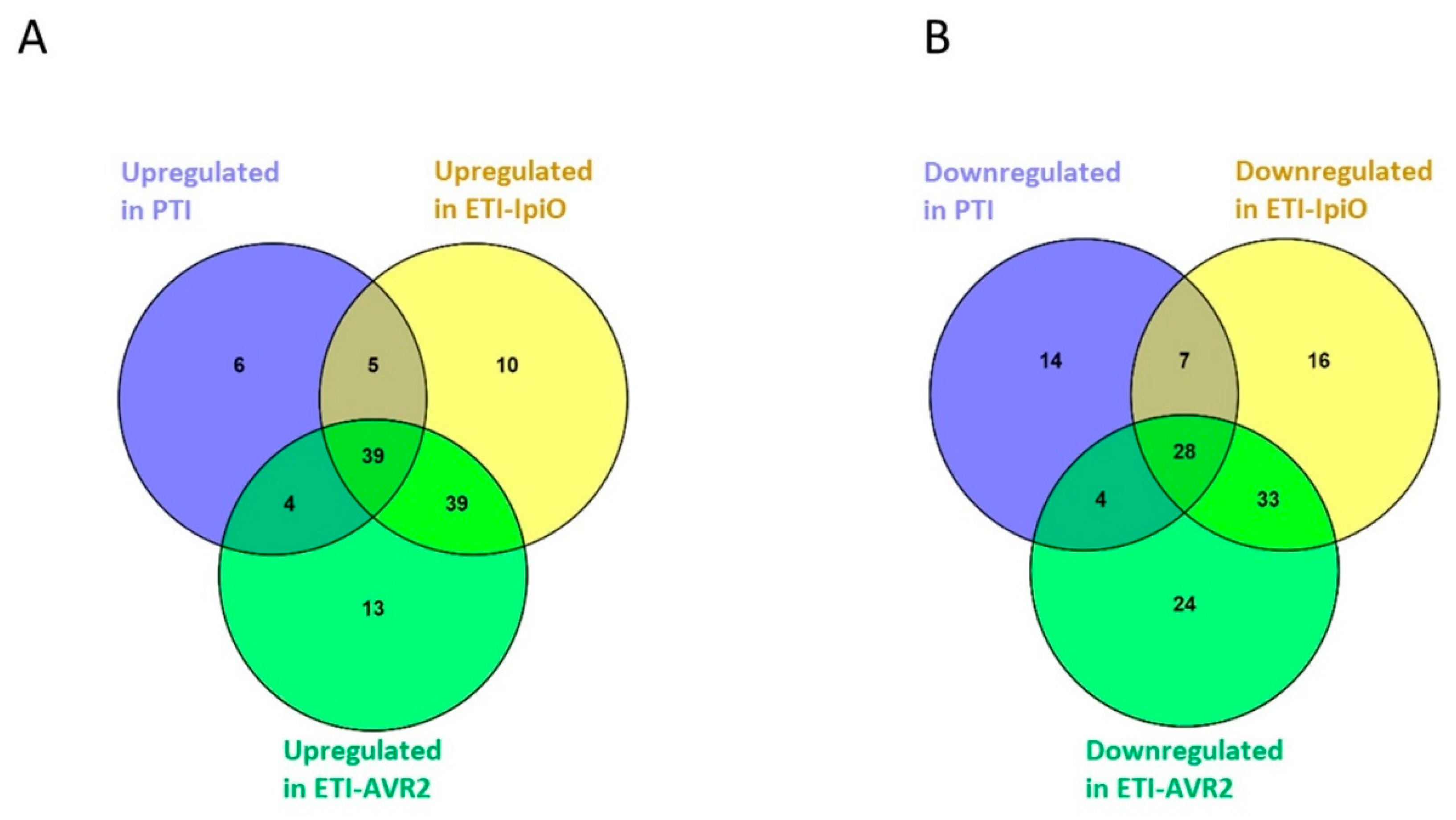 Ijms 20 04726 g001 Ijms 20 04726 g001