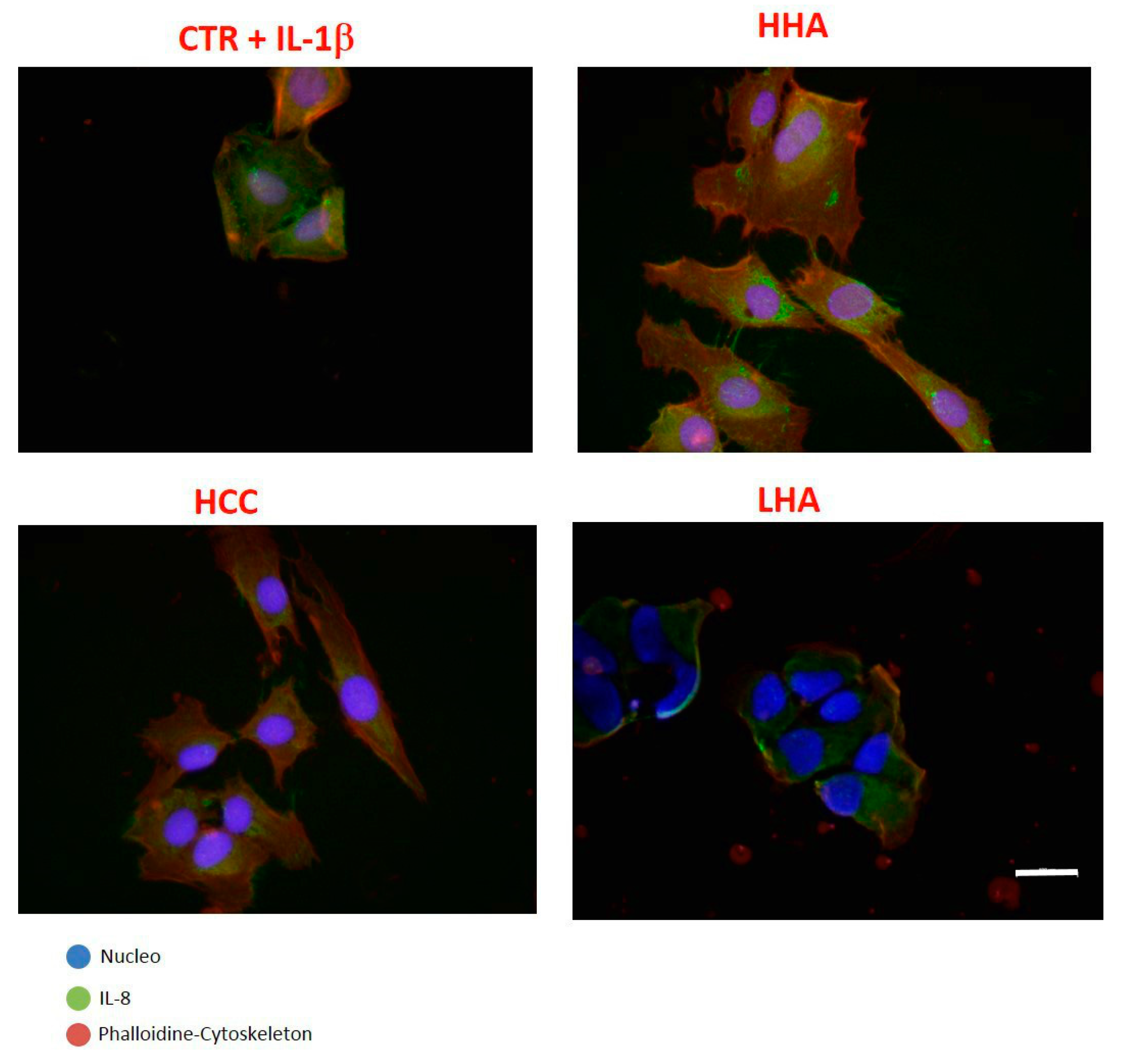 Ijms 20 04727 g005 Ijms 20 04727 g005