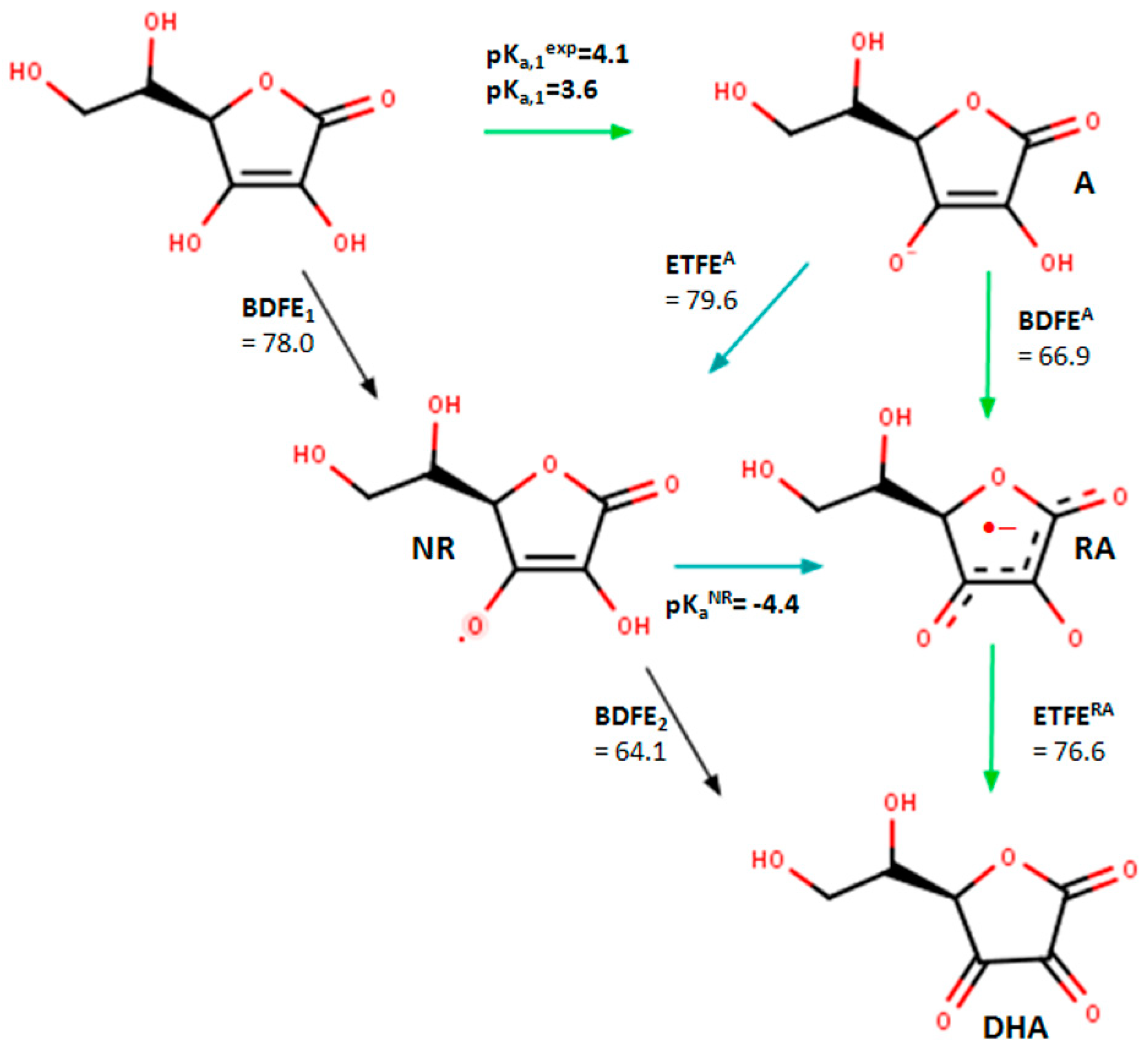Ijms 20 04735 g002 Ijms 20 04735 g002