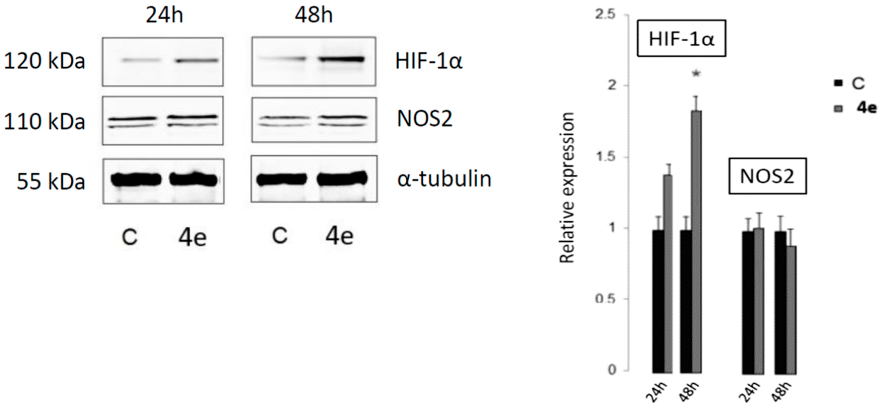 Ijms 20 04735 g004 Ijms 20 04735 g004