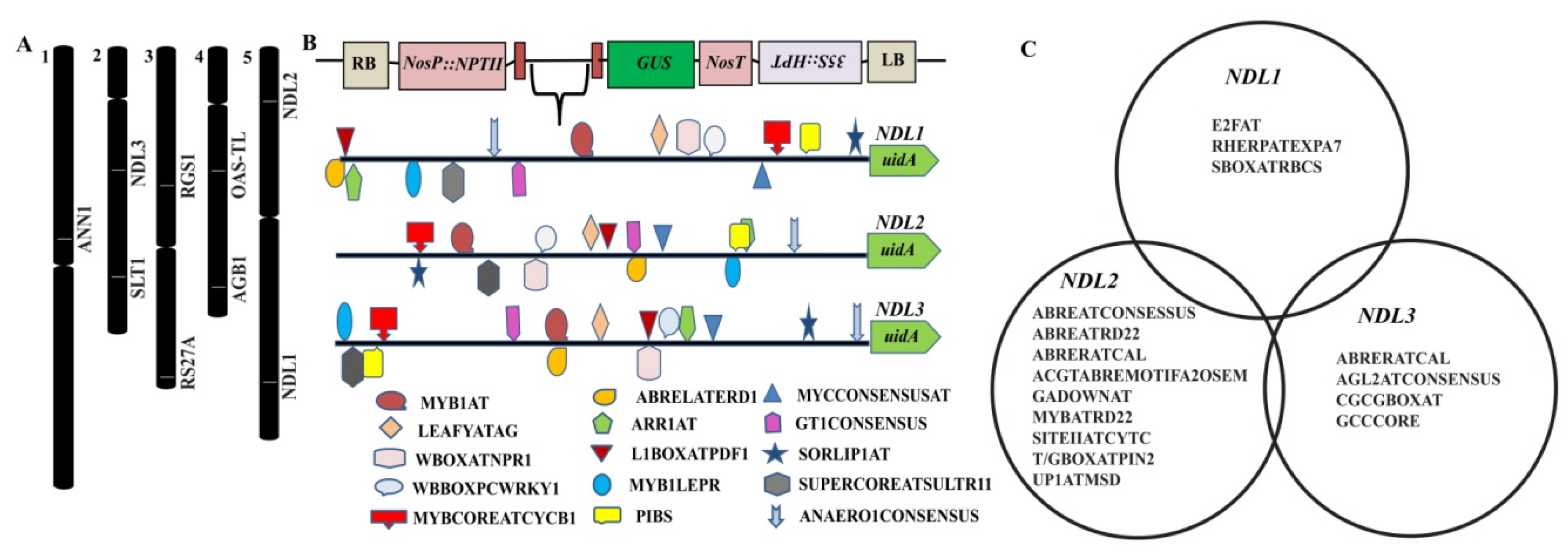 Ijms 20 04736 g001 Ijms 20 04736 g001