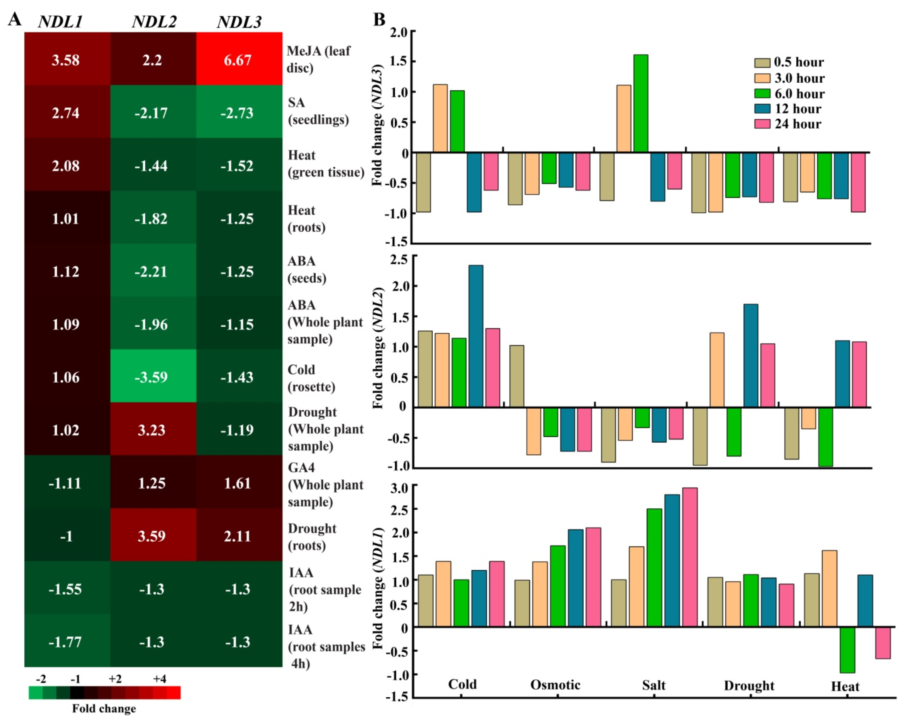 Ijms 20 04736 g004 Ijms 20 04736 g004