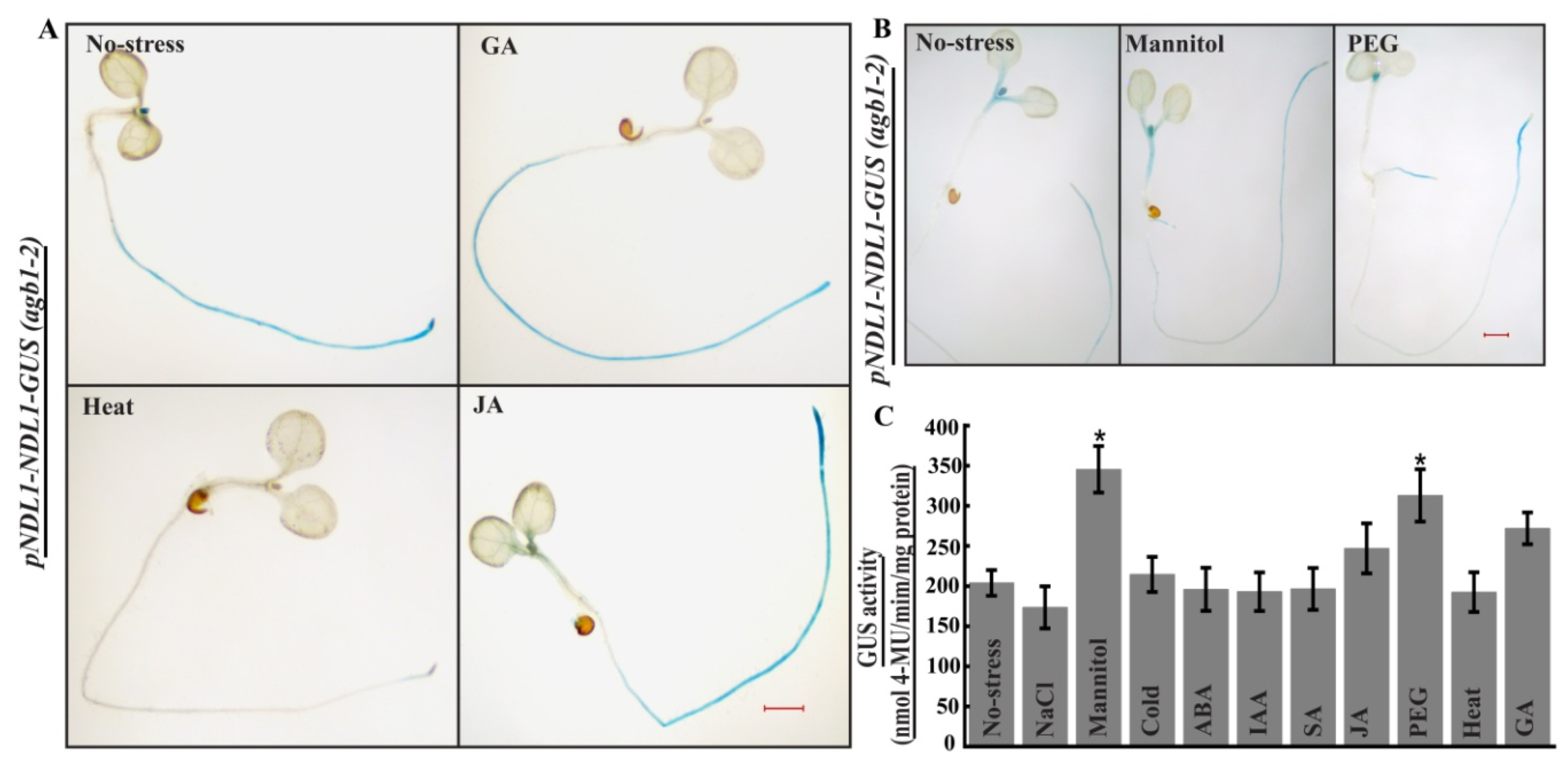 Ijms 20 04736 g008 Ijms 20 04736 g008