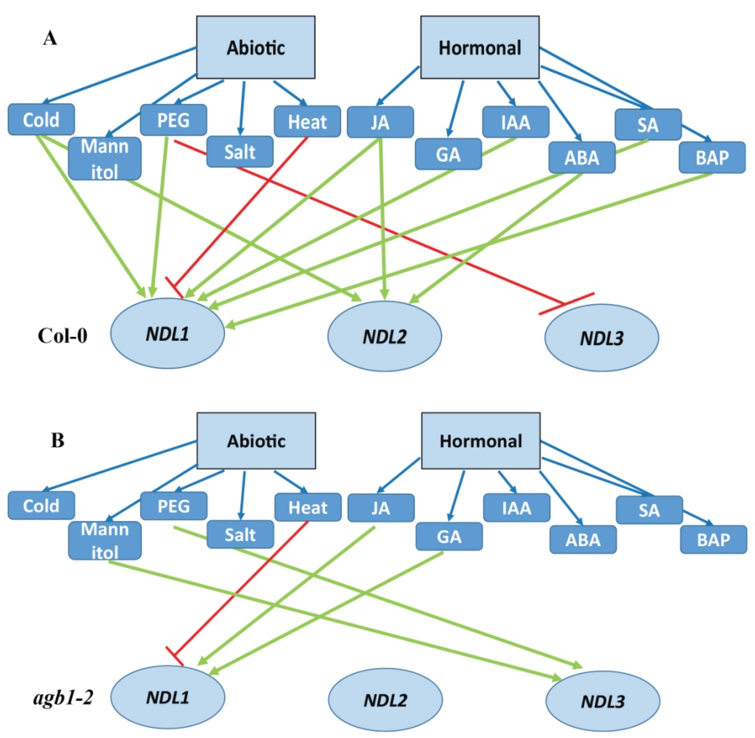 Ijms 20 04736 g010 Ijms 20 04736 g010