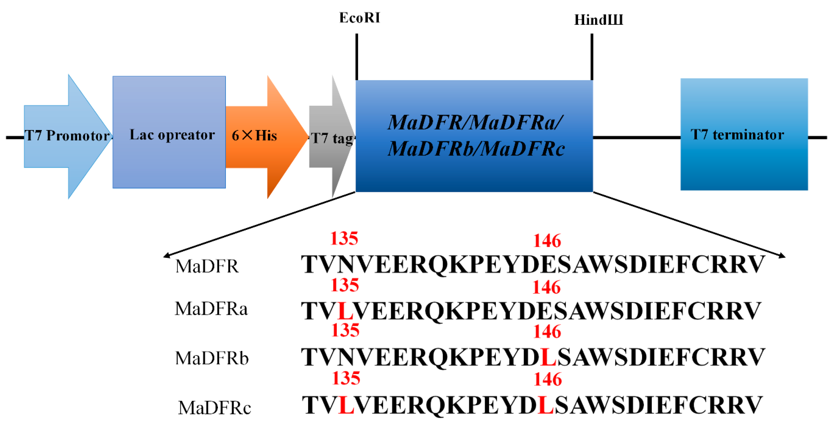Ijms 20 04743 g007