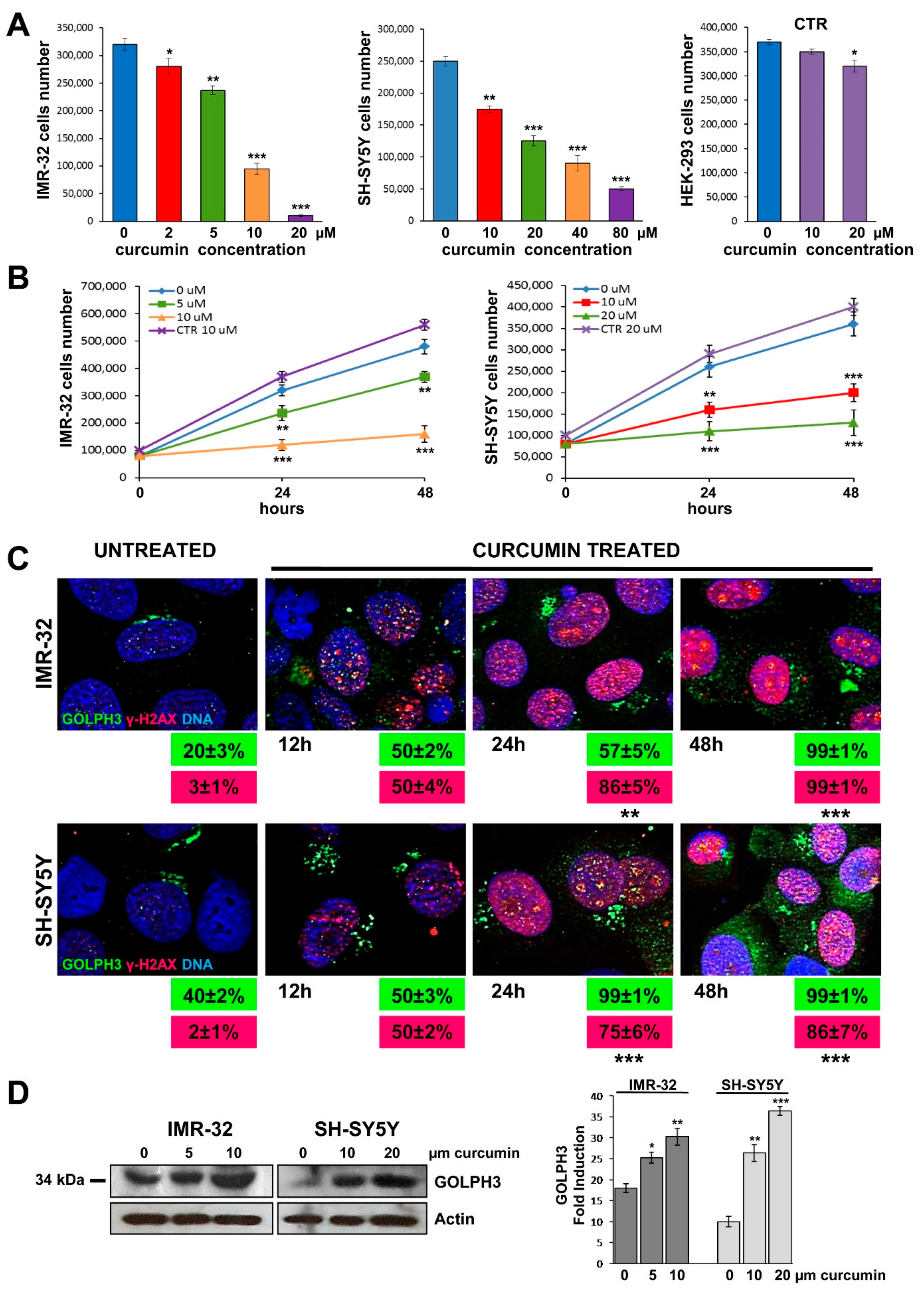 Ijms 20 04764 g001 Ijms 20 04764 g001