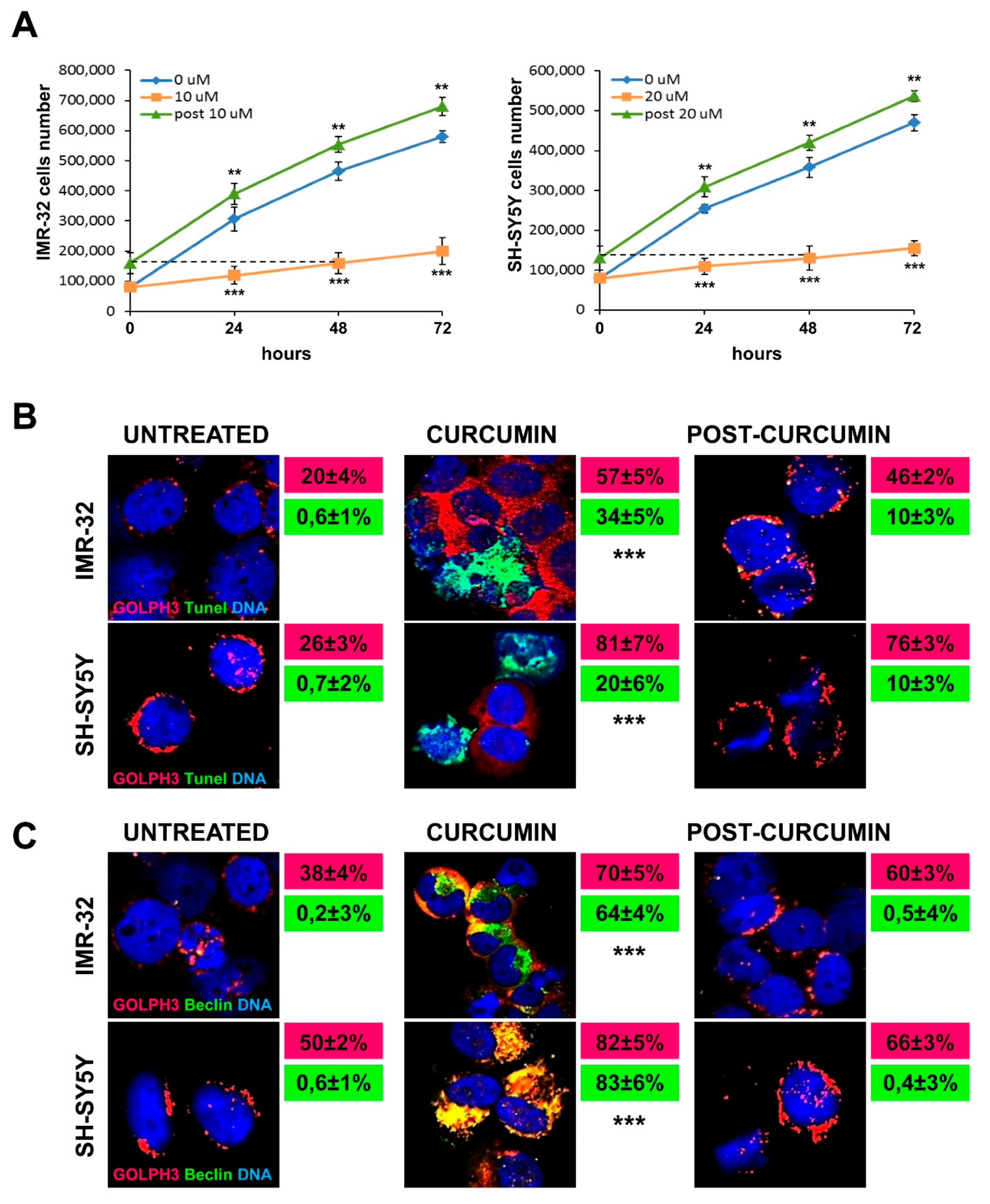 Ijms 20 04764 g003 Ijms 20 04764 g003