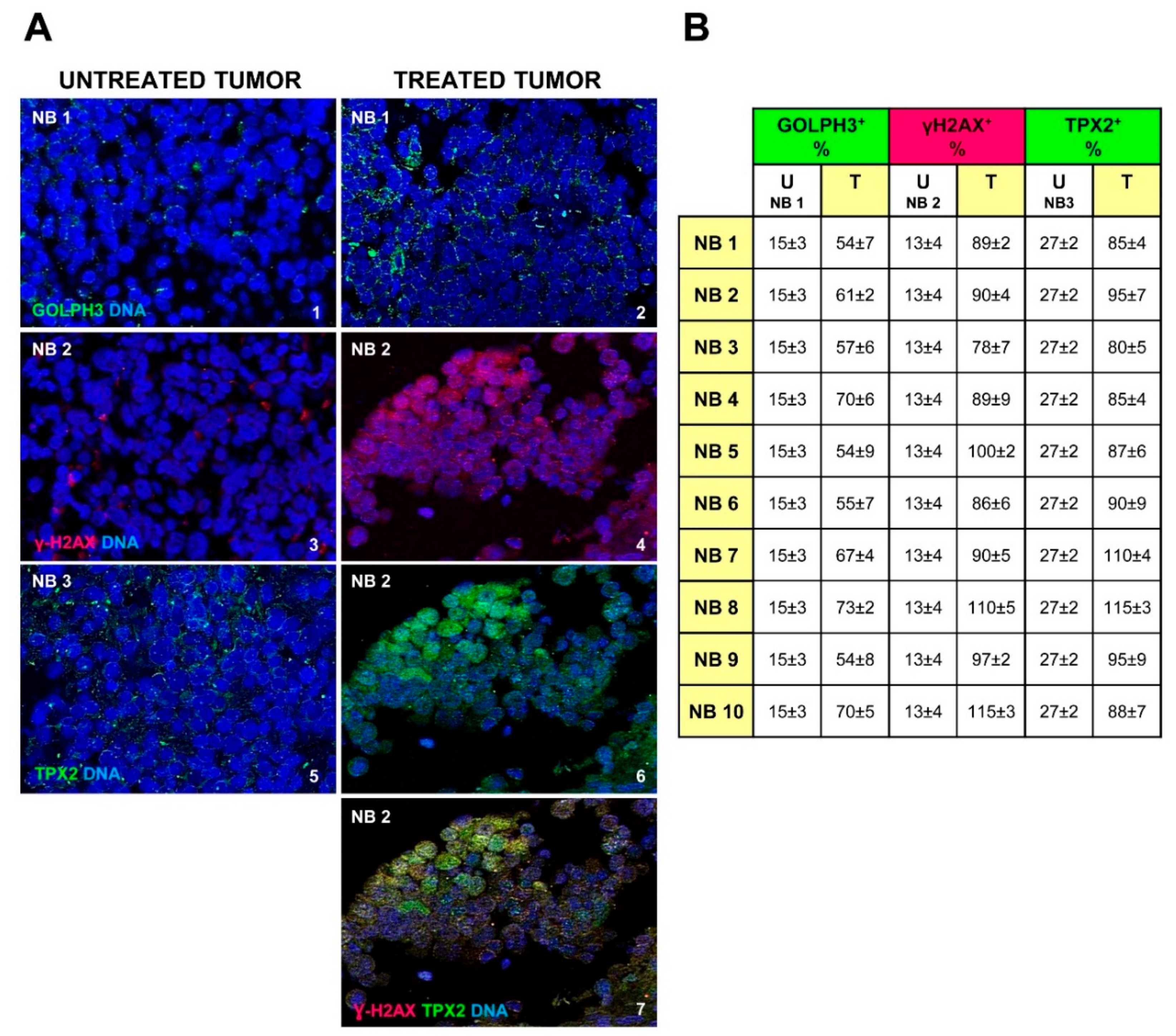 Ijms 20 04764 g005 Ijms 20 04764 g005