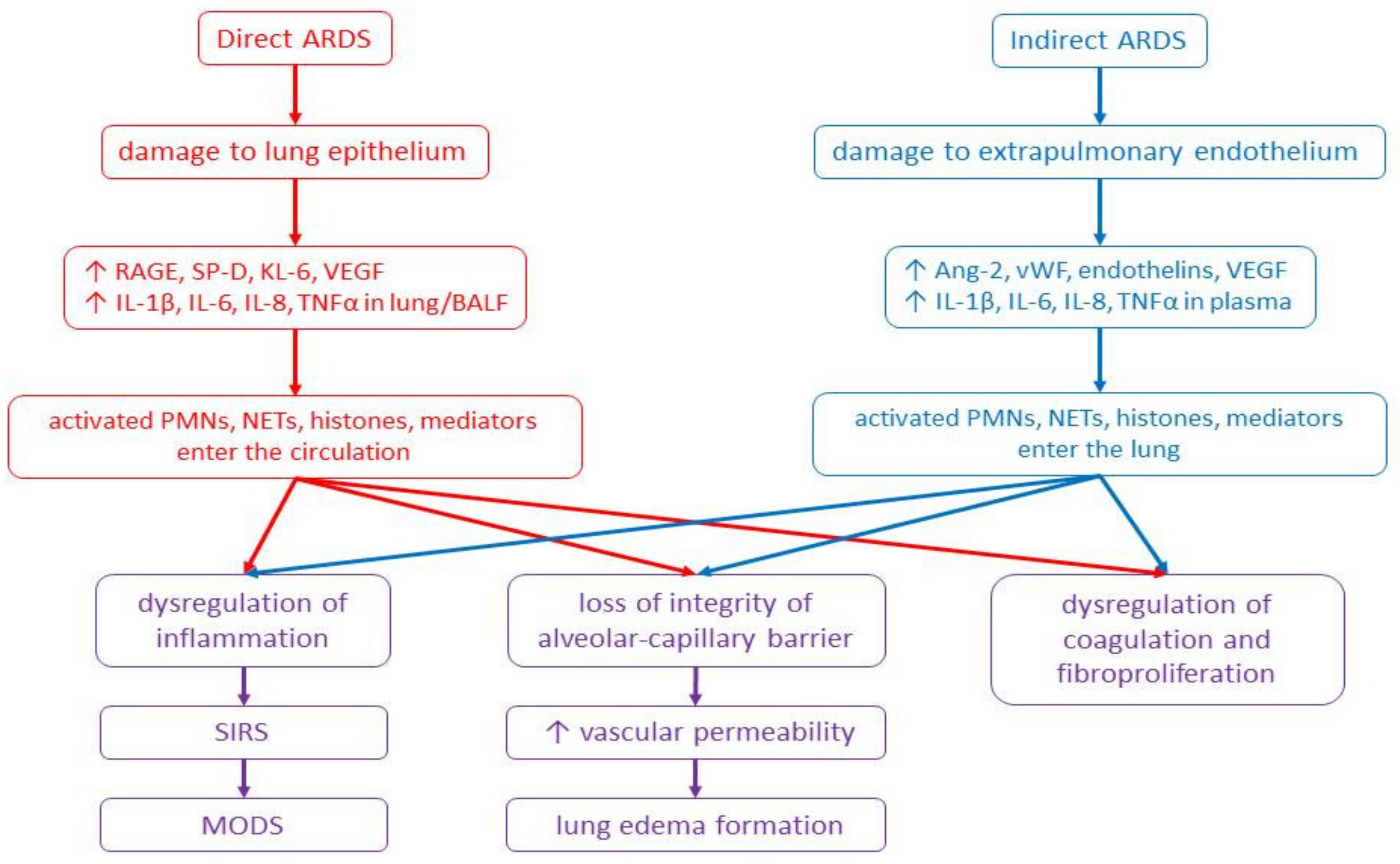 Ijms 20 04765 g001 Ijms 20 04765 g001