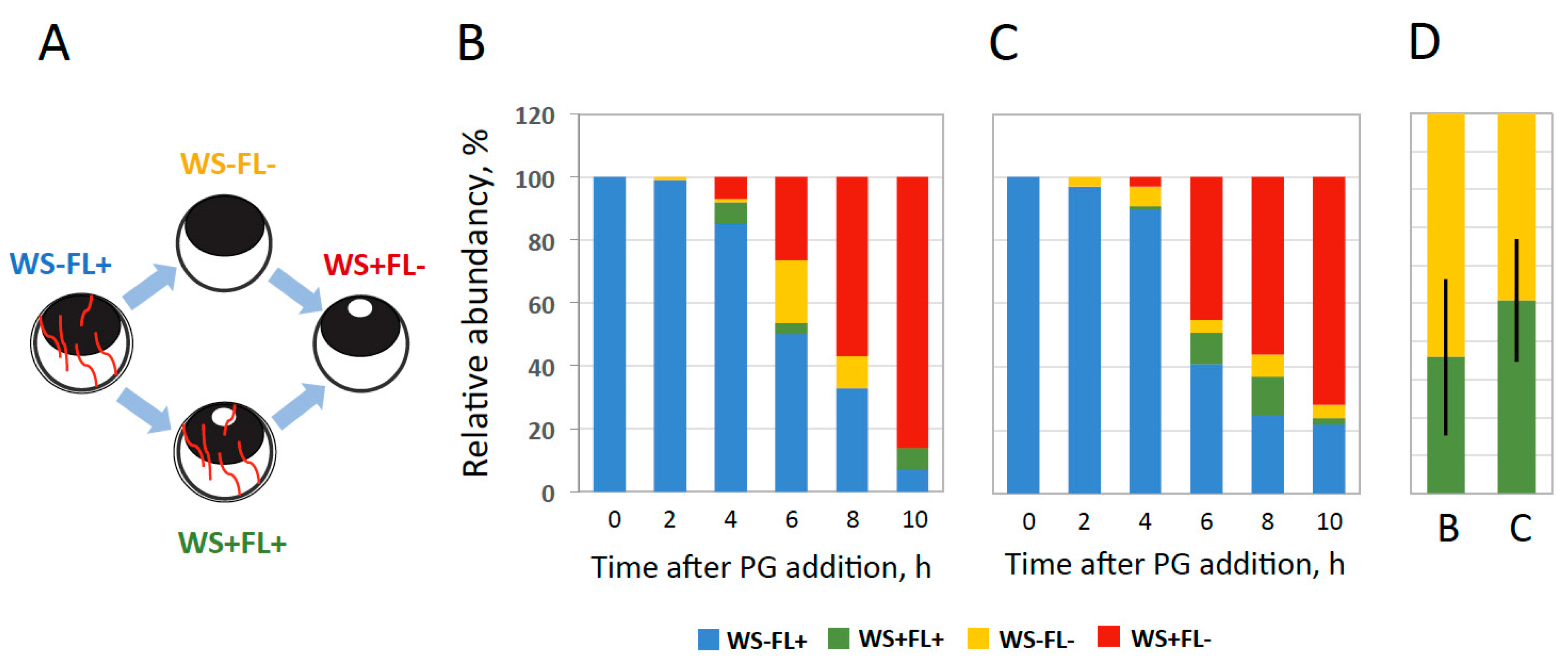 Ijms 20 04766 g004 Ijms 20 04766 g004