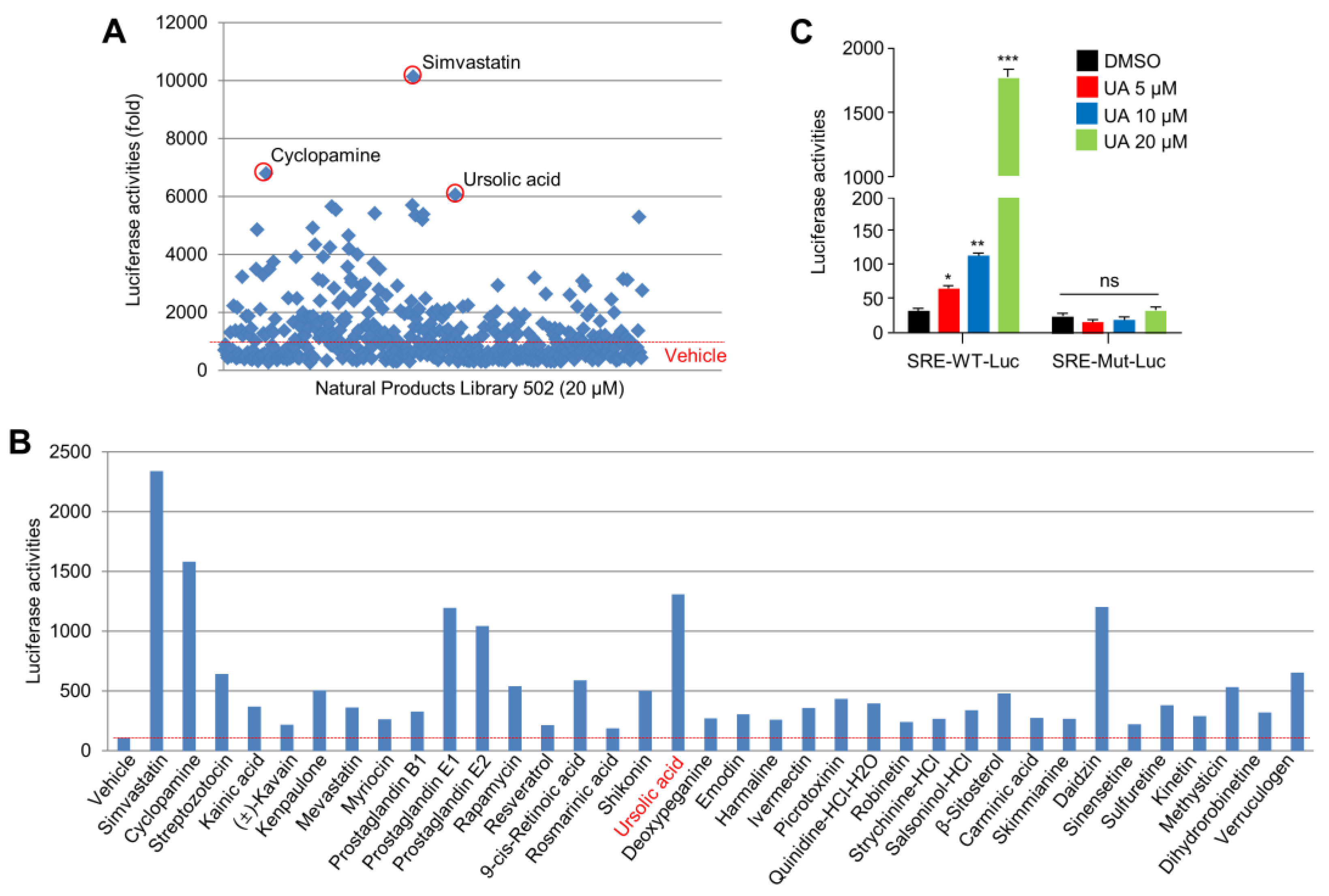 Ijms 20 04767 g001 Ijms 20 04767 g001