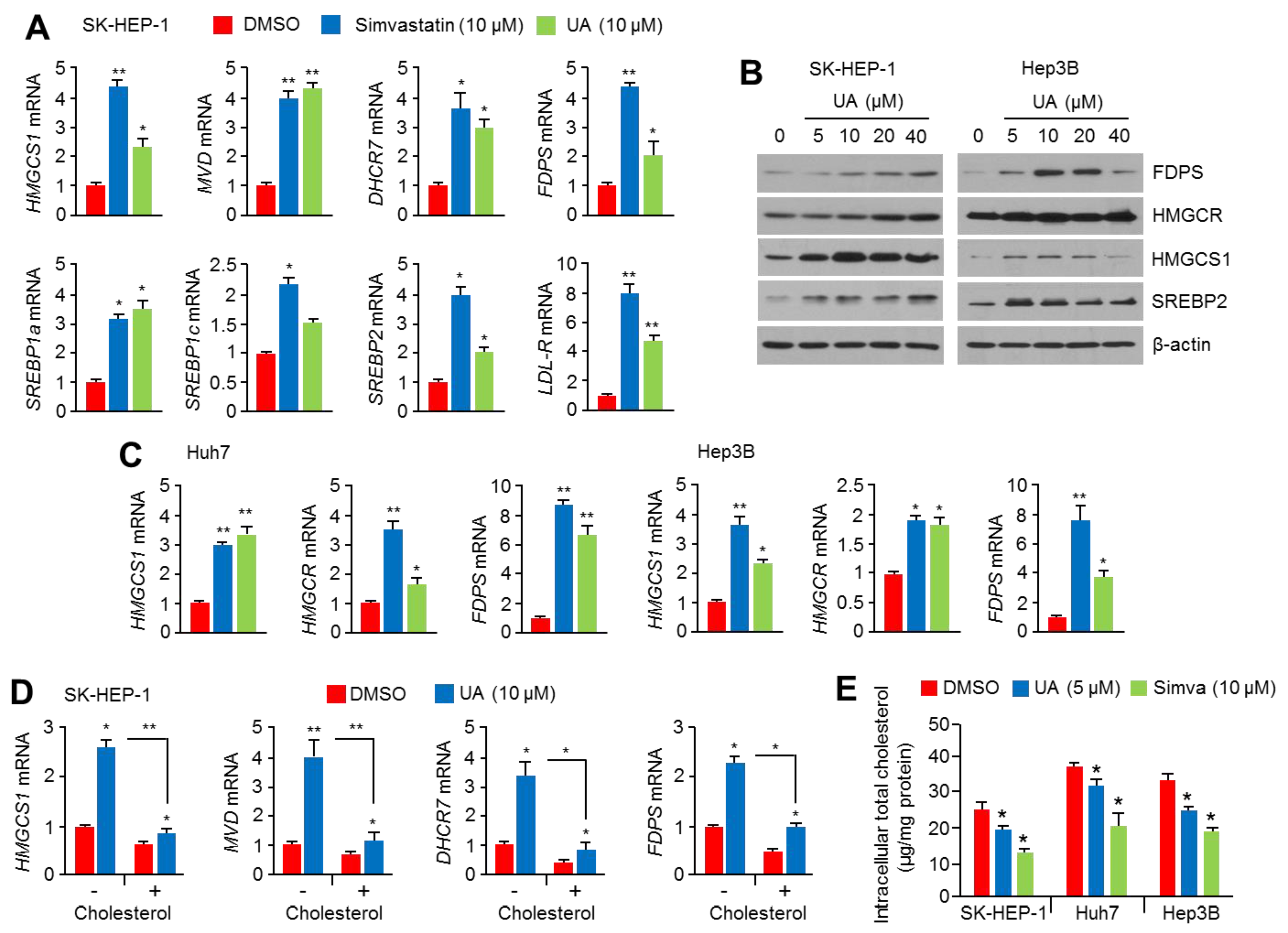 Ijms 20 04767 g002 Ijms 20 04767 g002