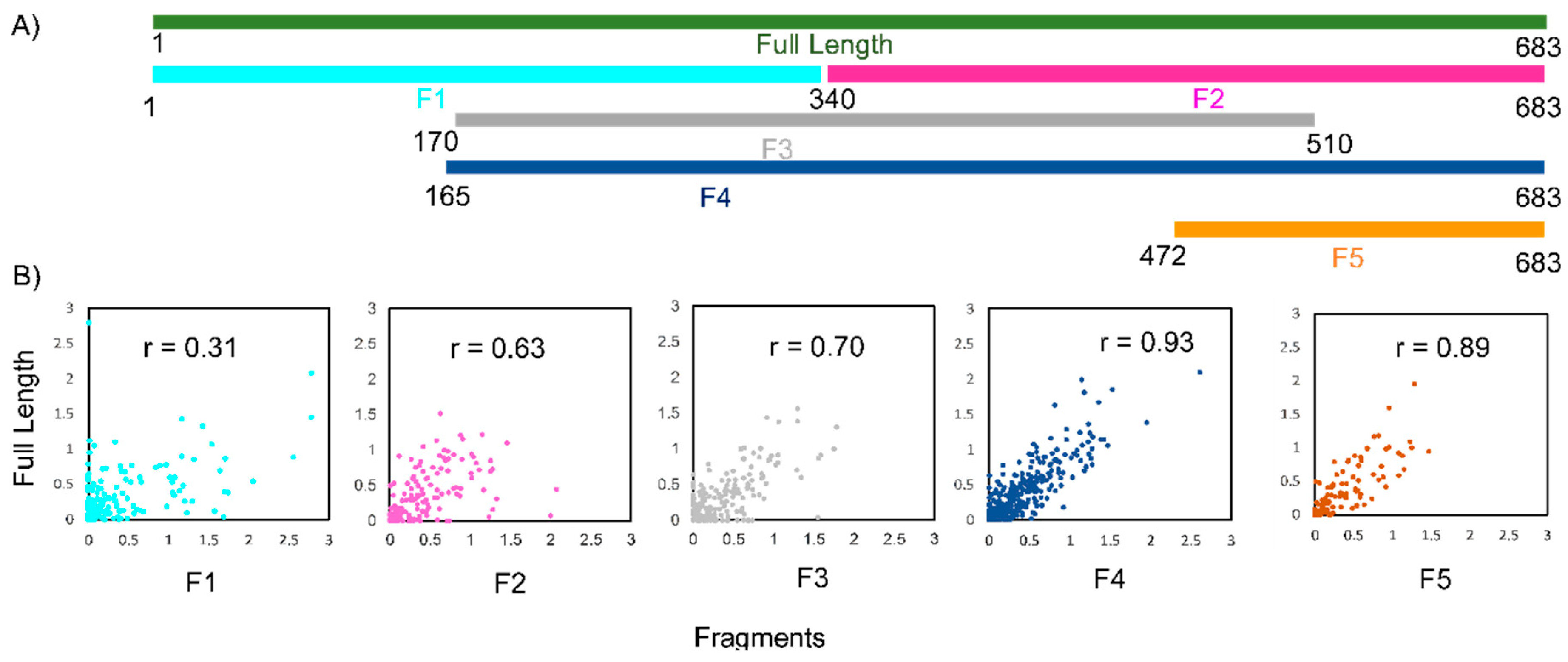 Ijms 20 04770 g002 Ijms 20 04770 g002