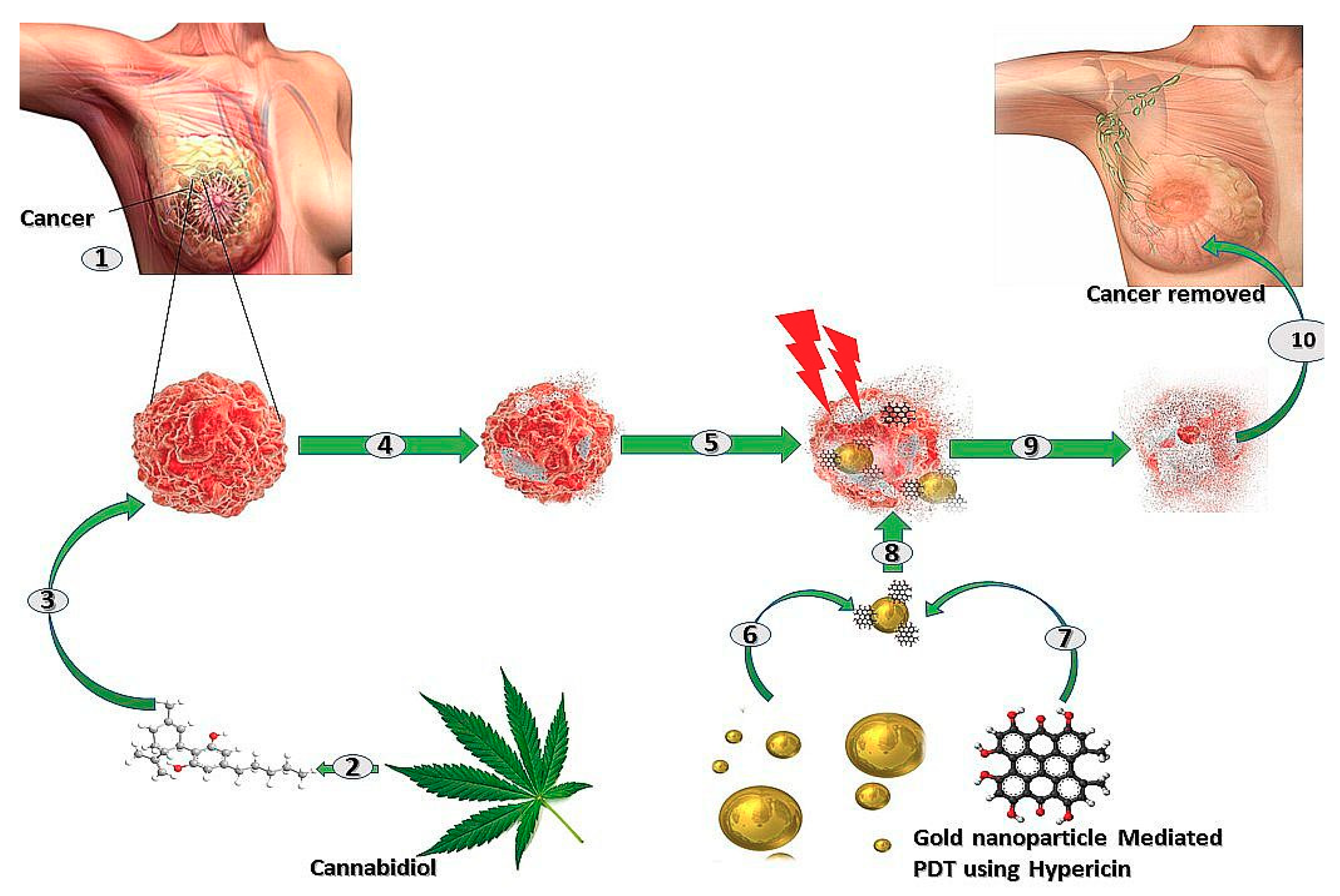 Ijms 20 04771 g003 Ijms 20 04771 g003