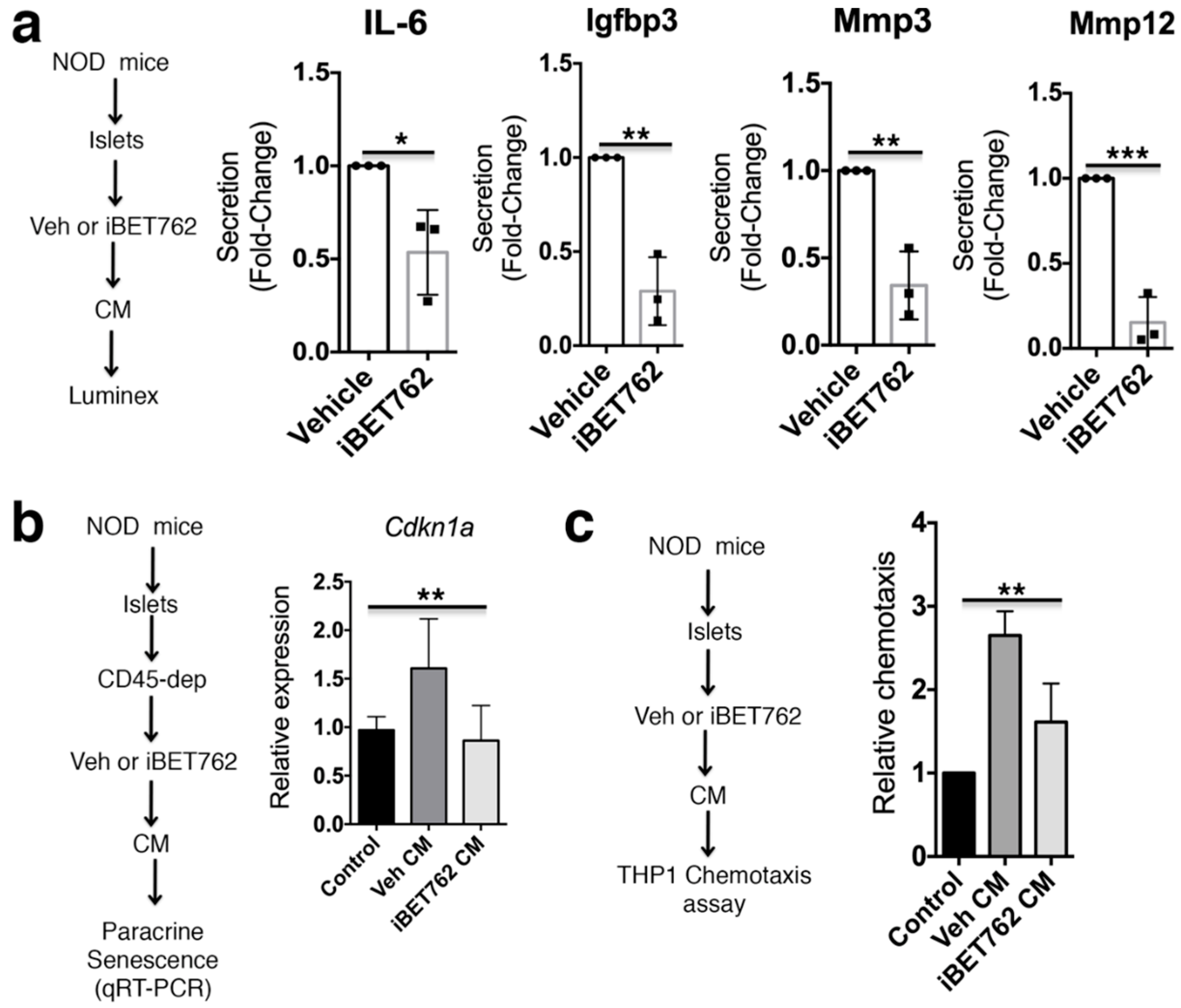 Ijms 20 04776 g002 Ijms 20 04776 g002